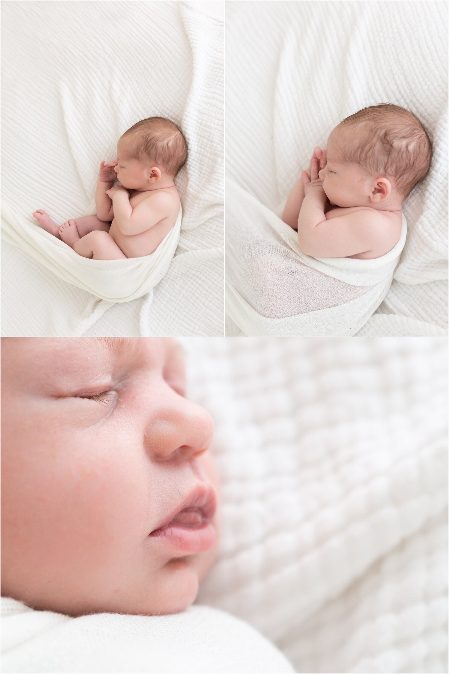 lifestyle newborn photographer main line