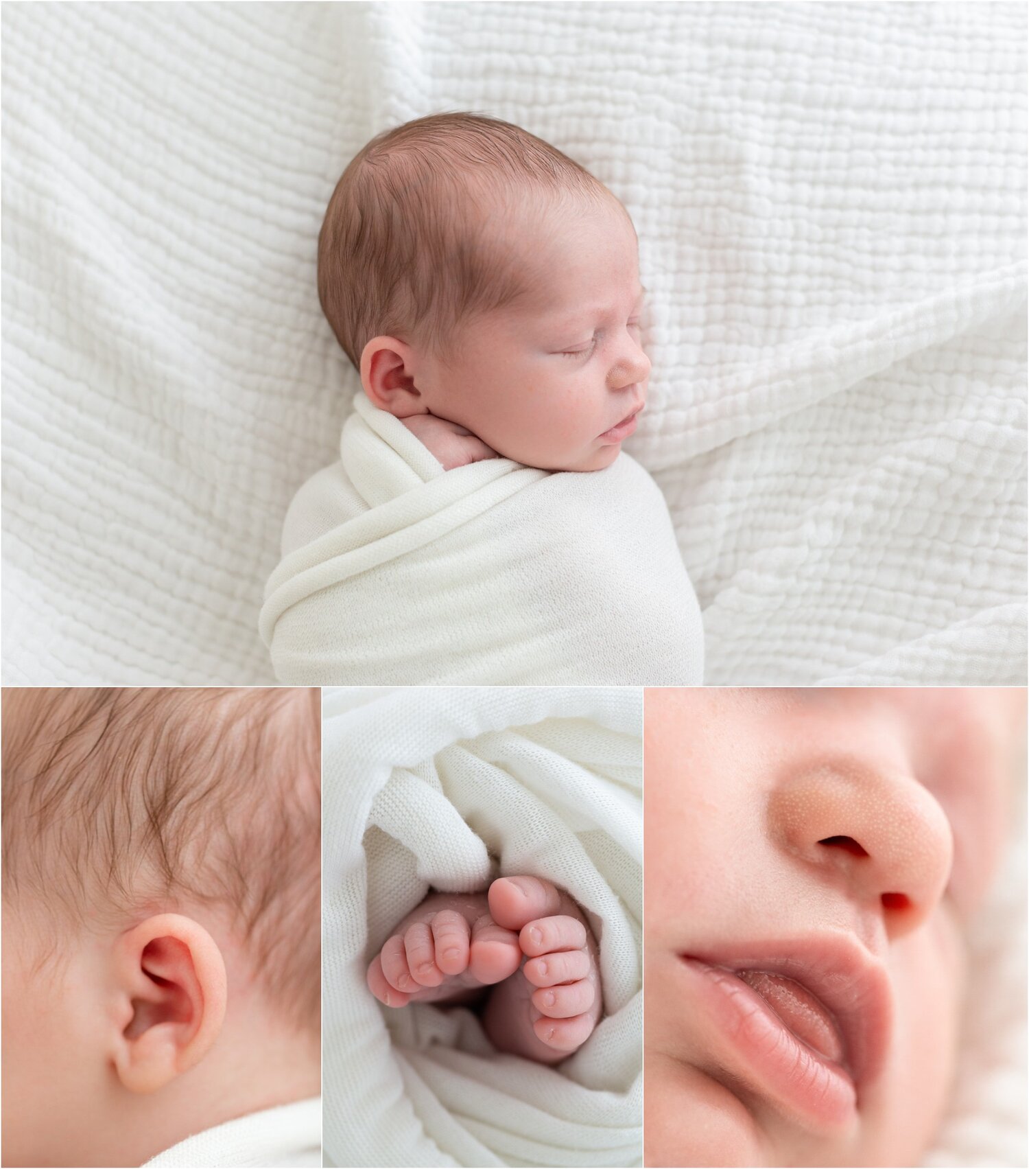 main line lifestyle newborn photographer