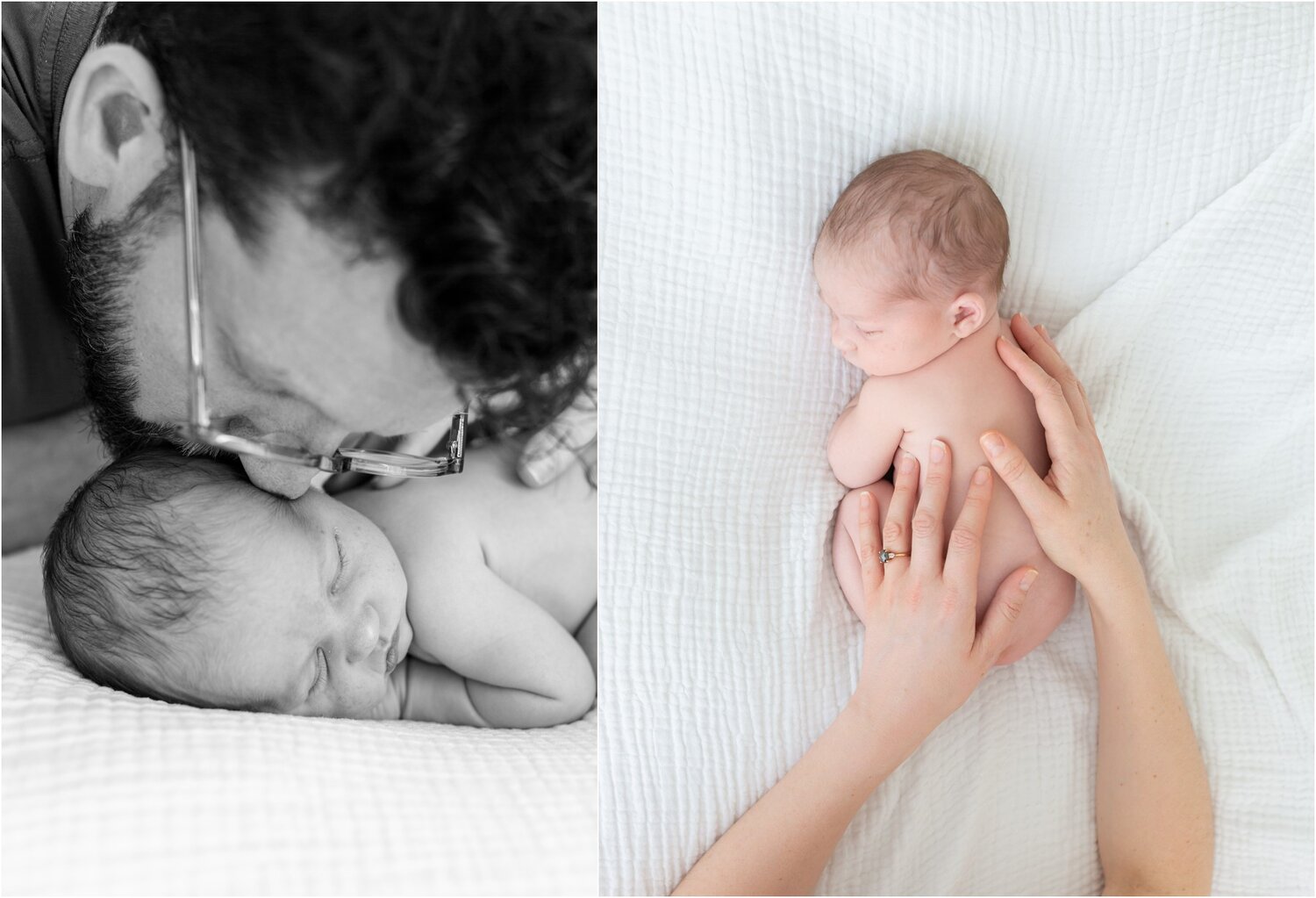 main line lifestyle newborn portraits