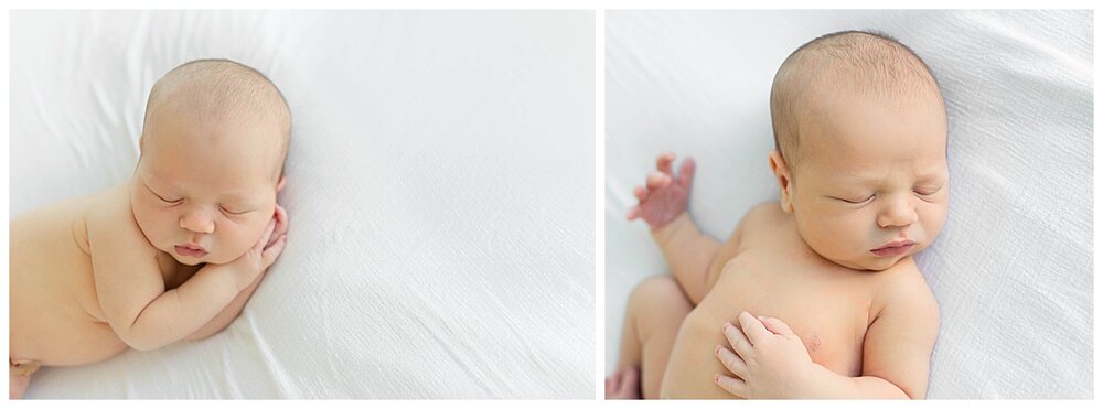 philadelphia newborn photographer 3