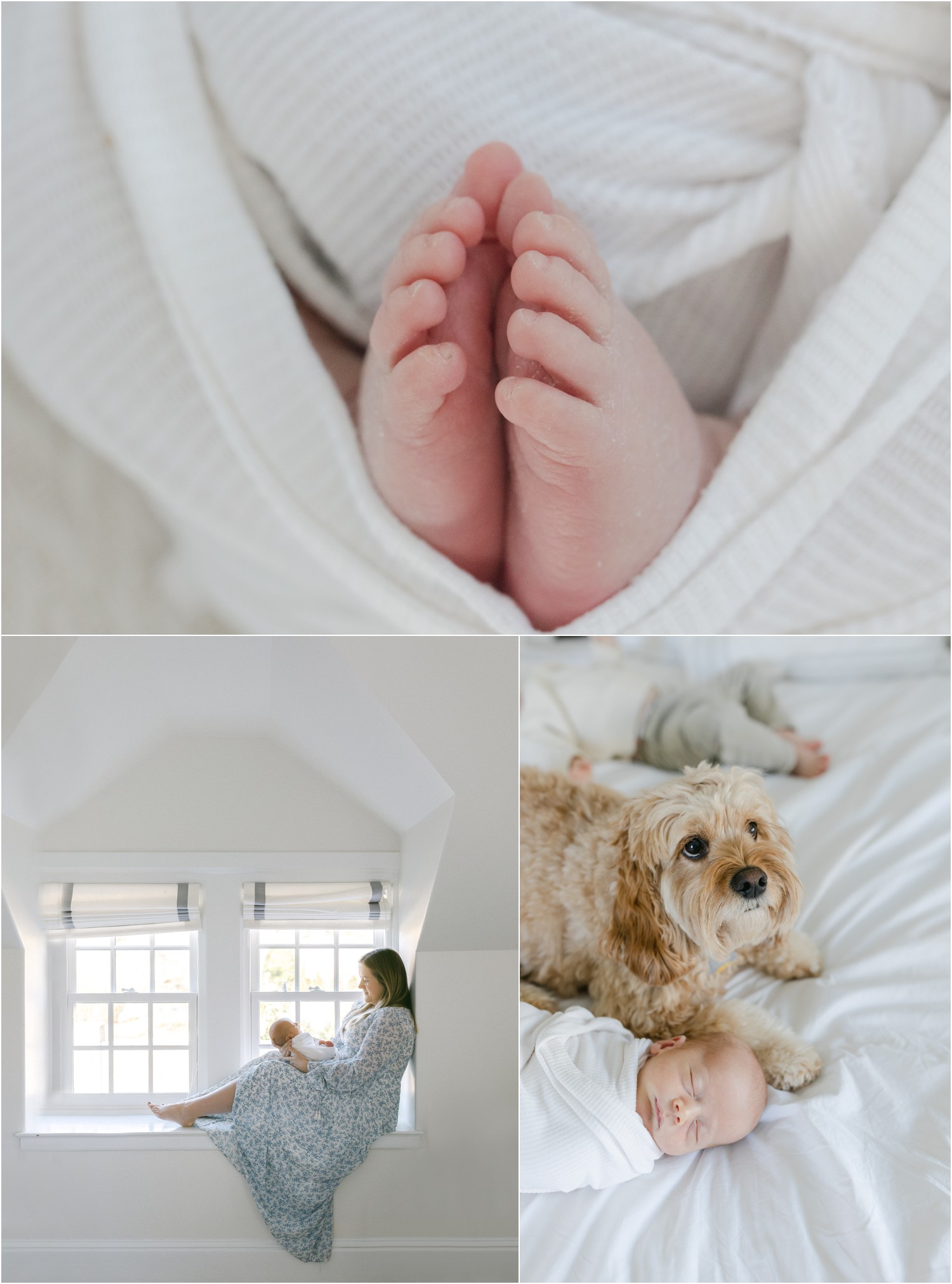 Philly newborn photographer 1