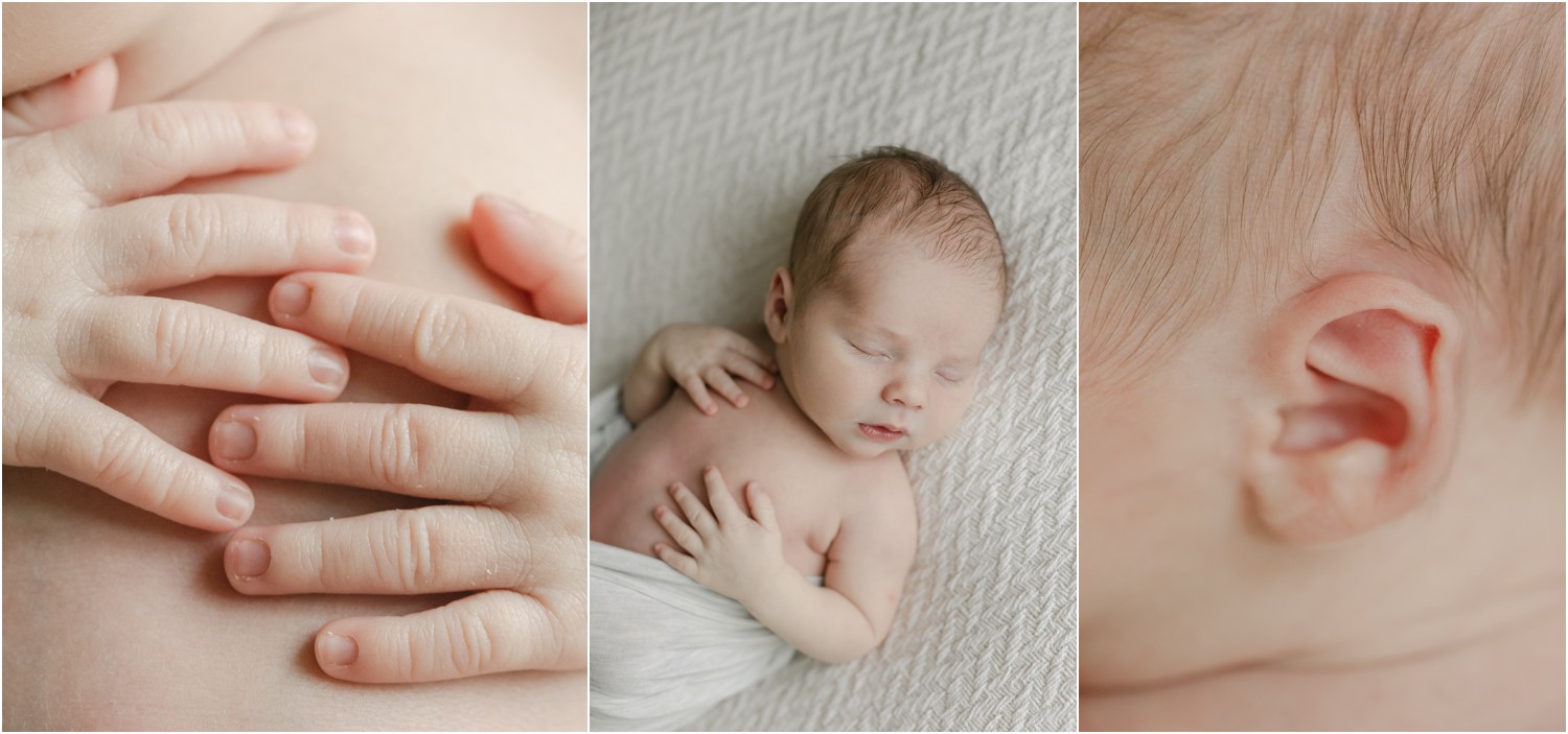 mainline newborn photographer