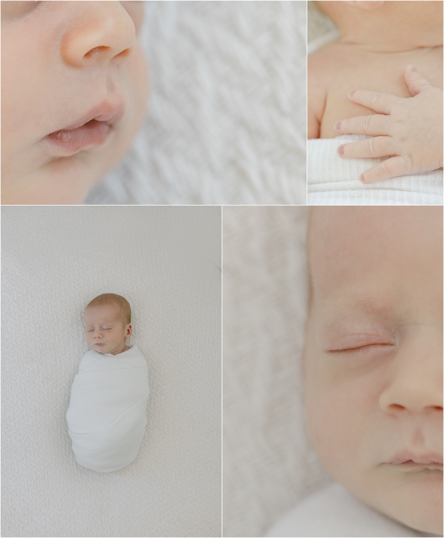 newborn photographer philly 1