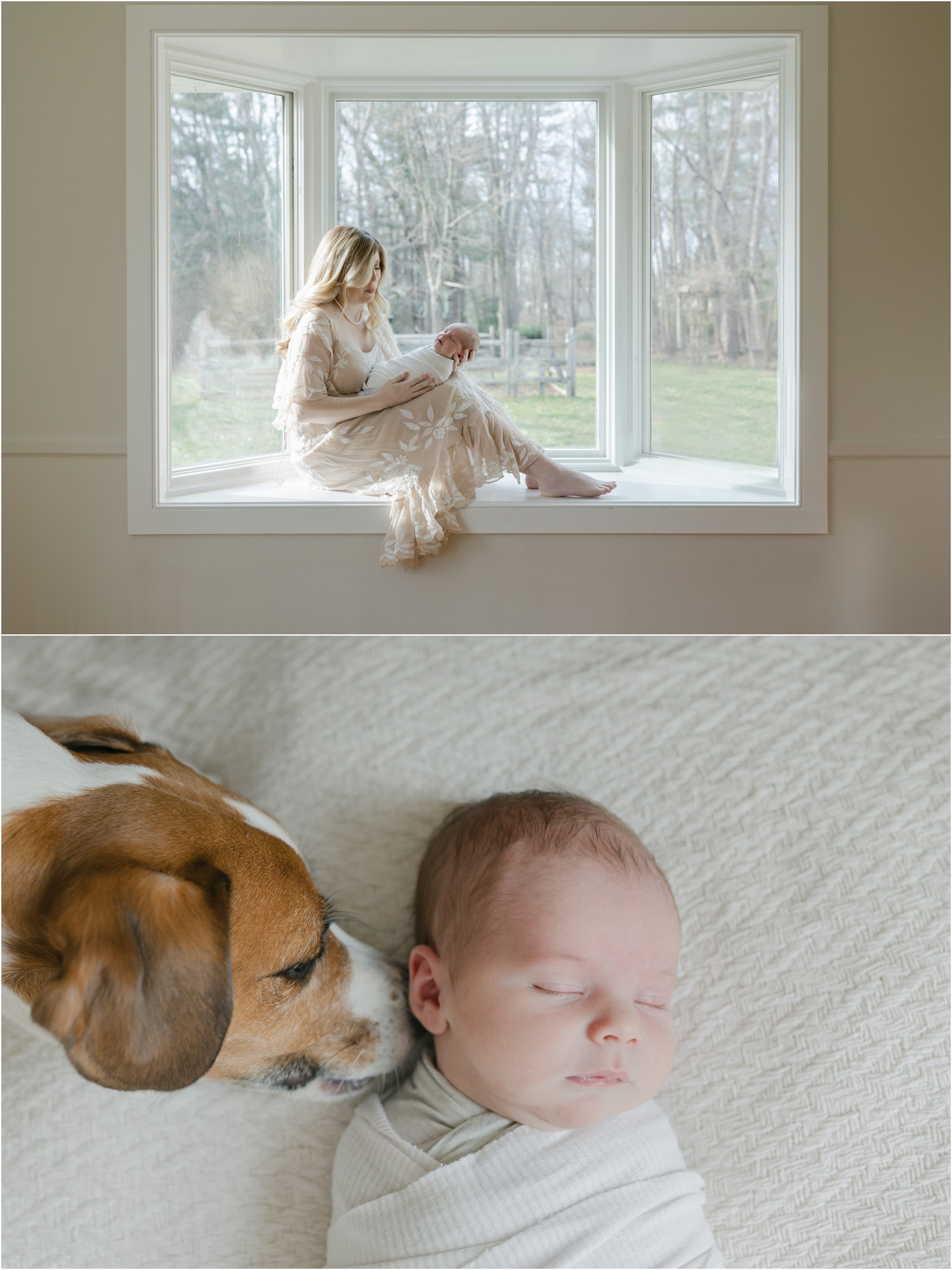 philadelphia newborn photographer