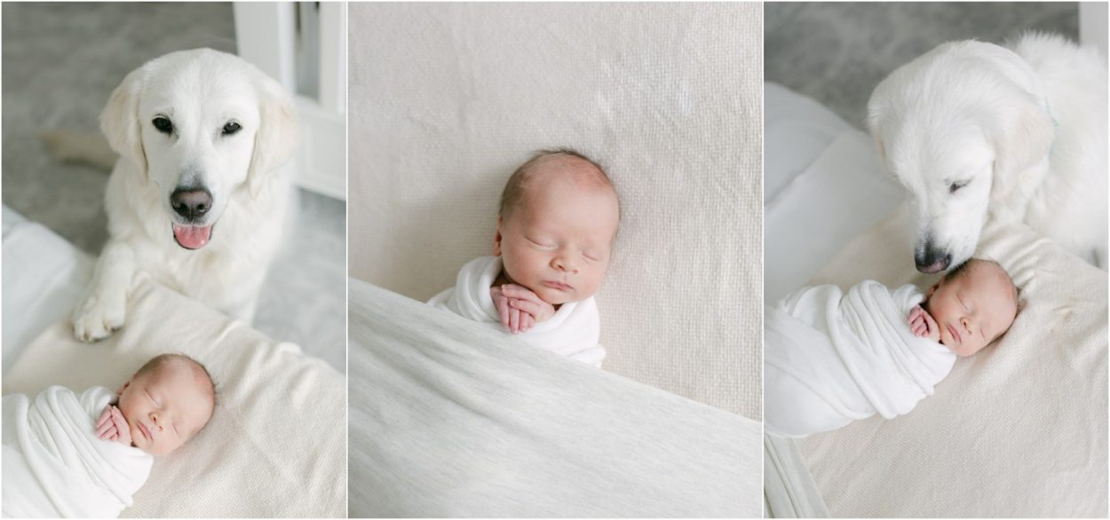 best philly newborn photographer