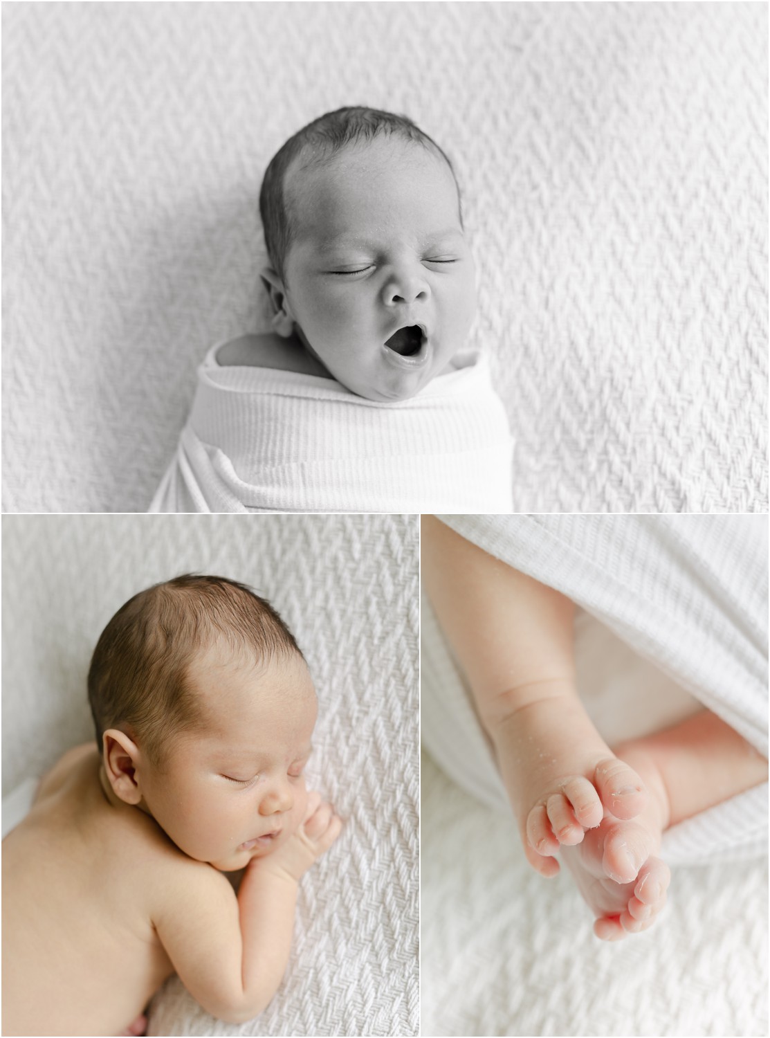 maineline newborn photographer