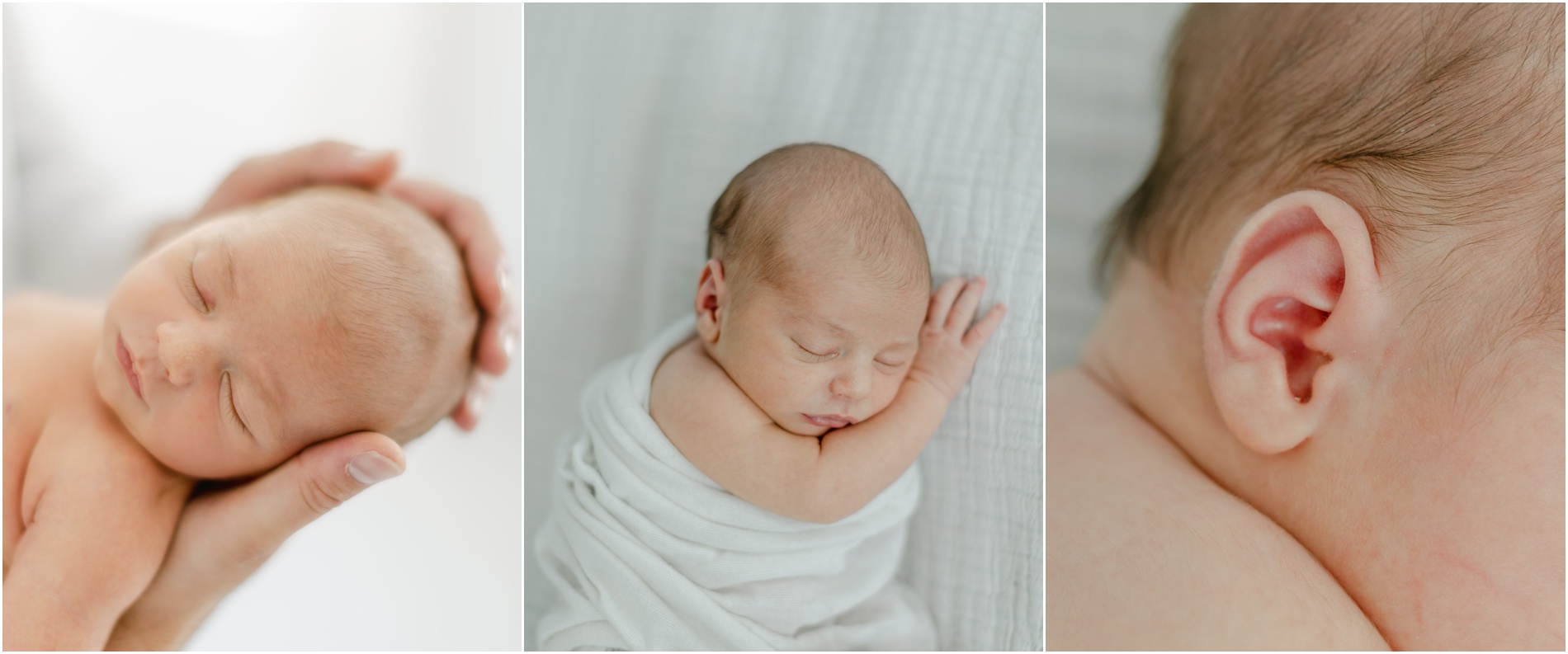 philly newborn photographer