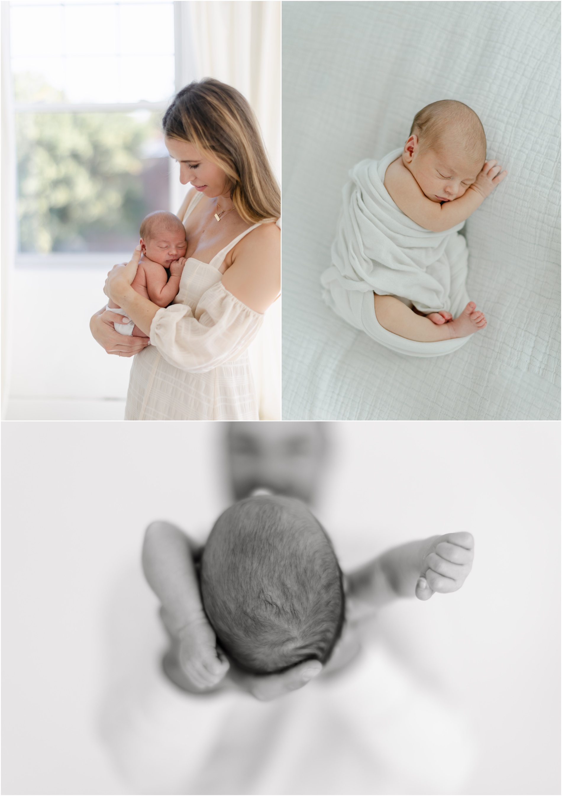 wilmington newborn photographer