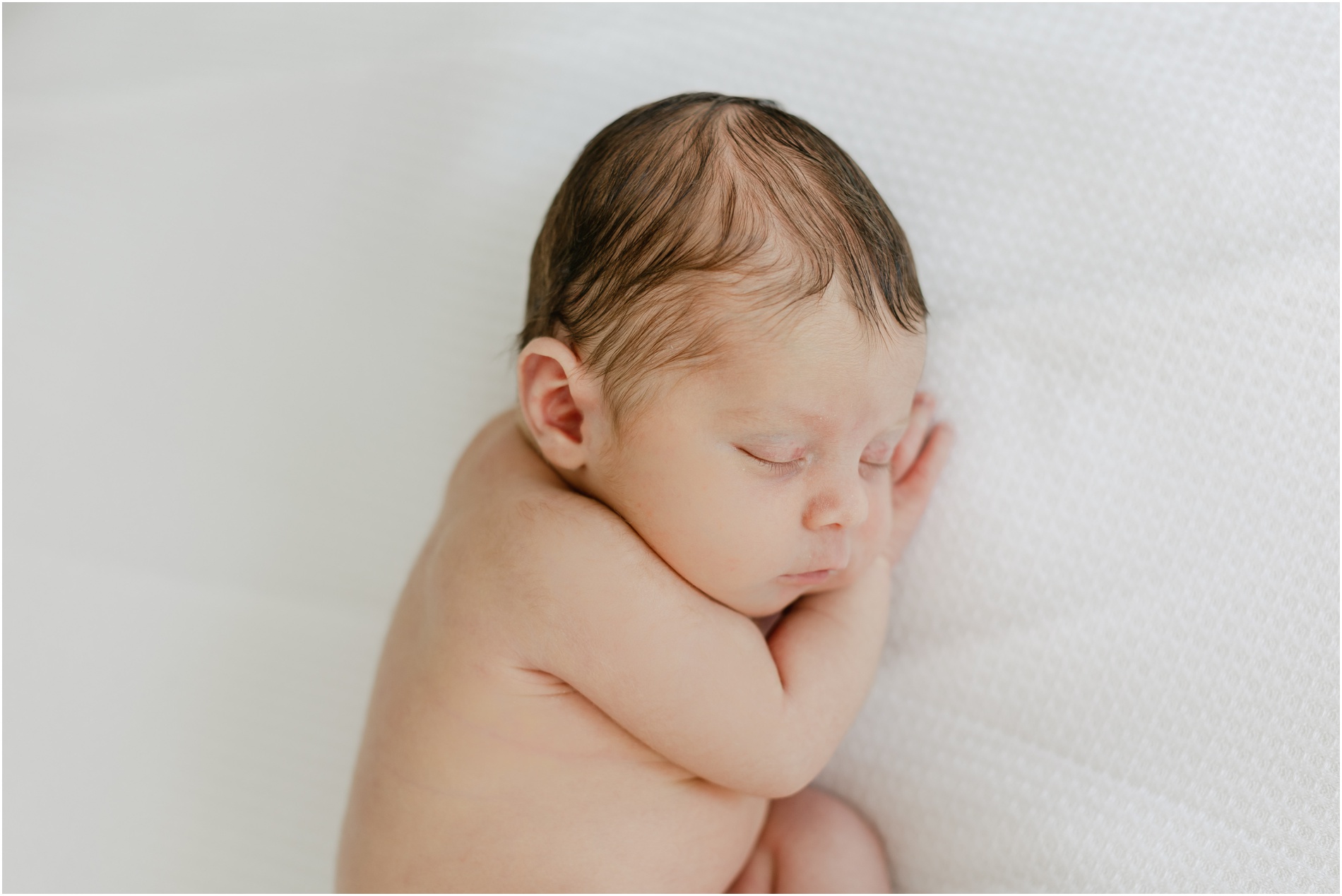 newborn photographer philadelphia