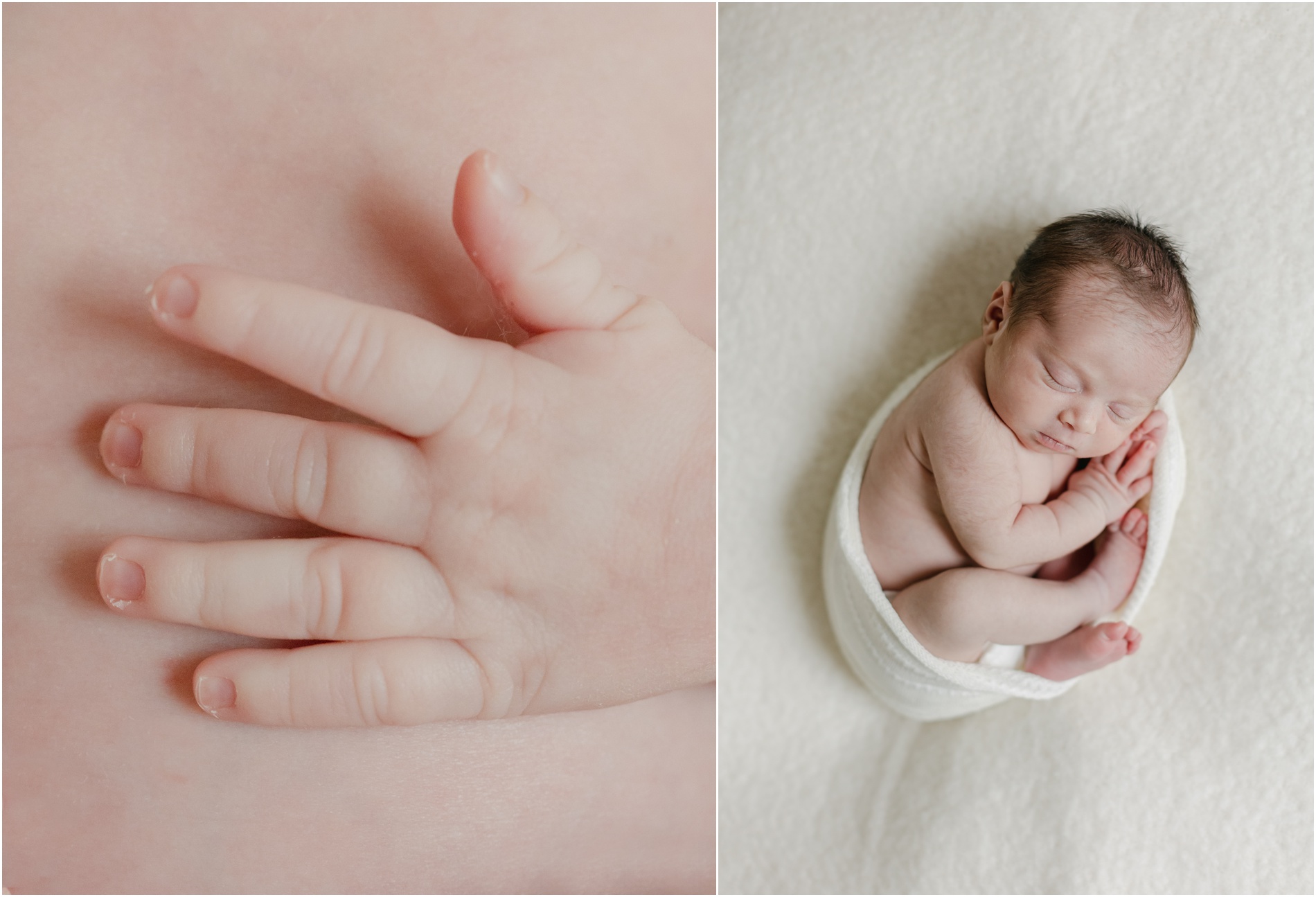 lifestyle newborn photographer pennsylvania