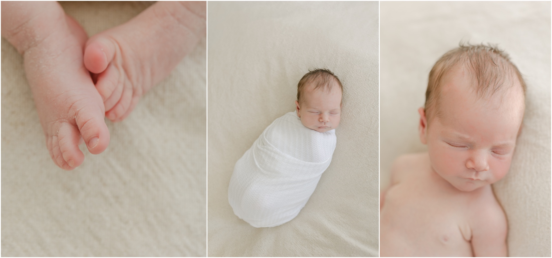 neutral newborn photographer philadelphia