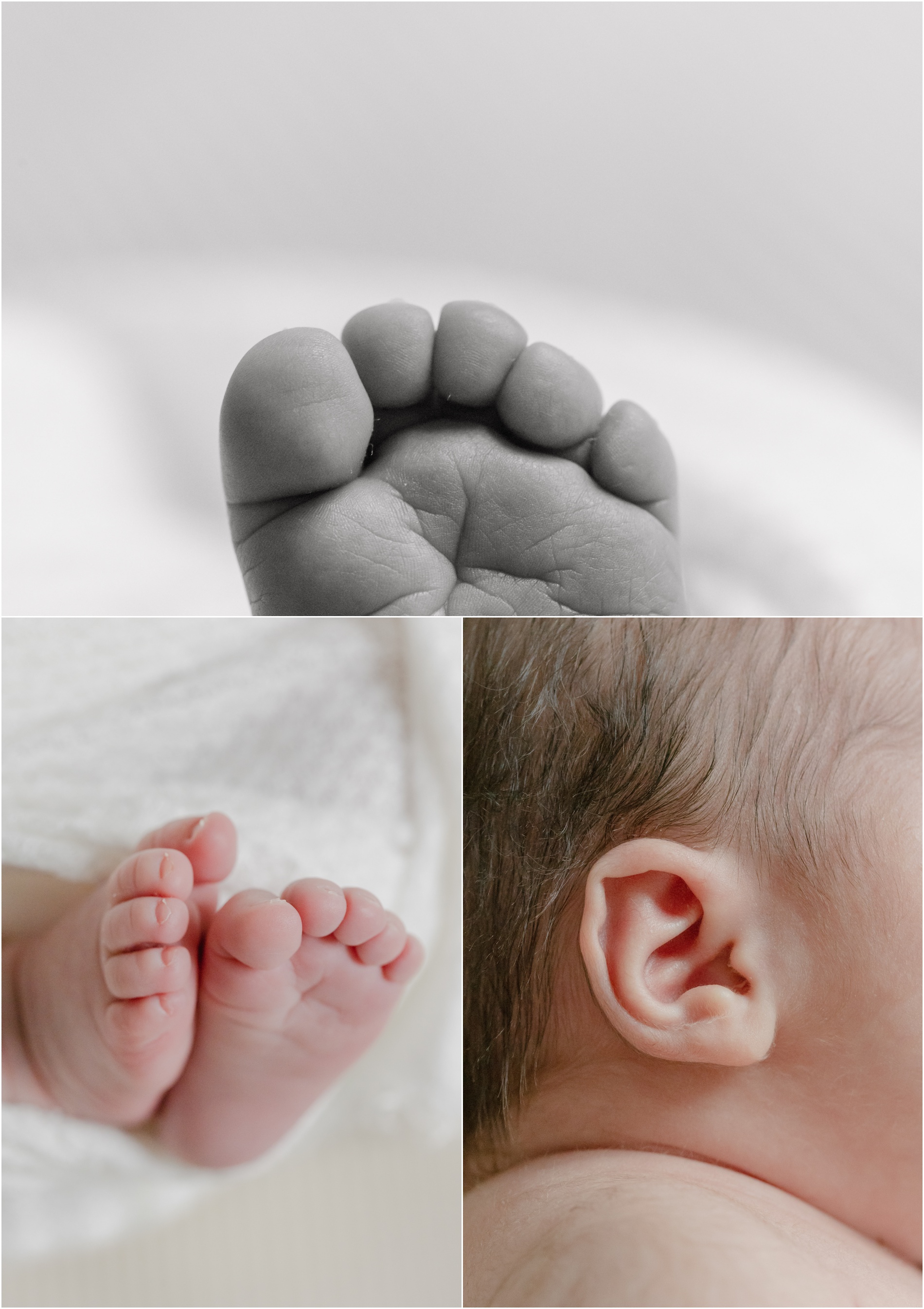 newborn photographer philadelphia