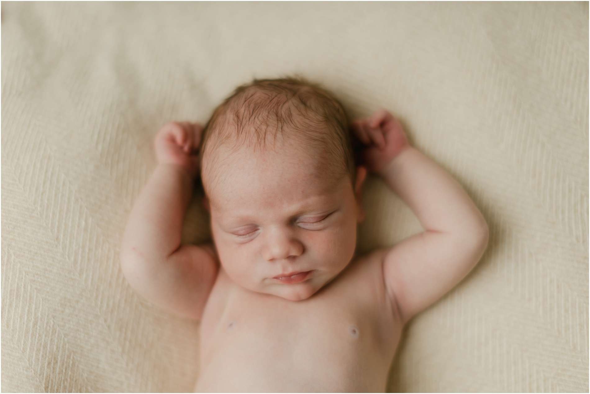 mainline newborn photographer