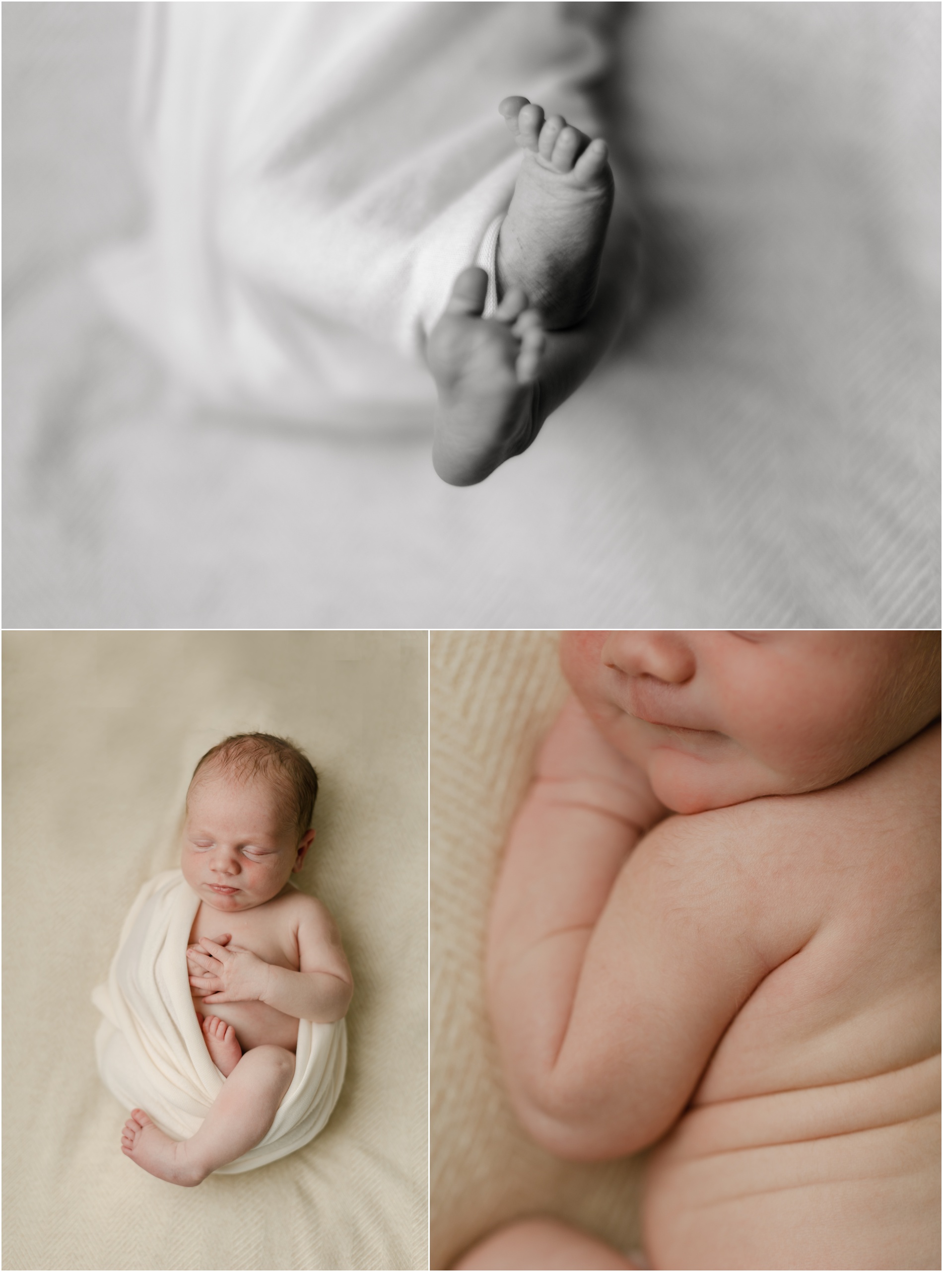 philadelphia newborn photographer