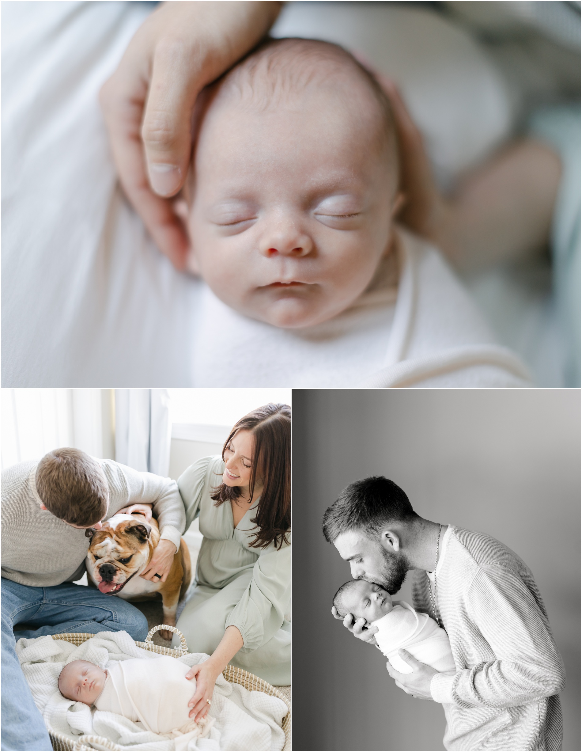 newborn photographer philadelphia