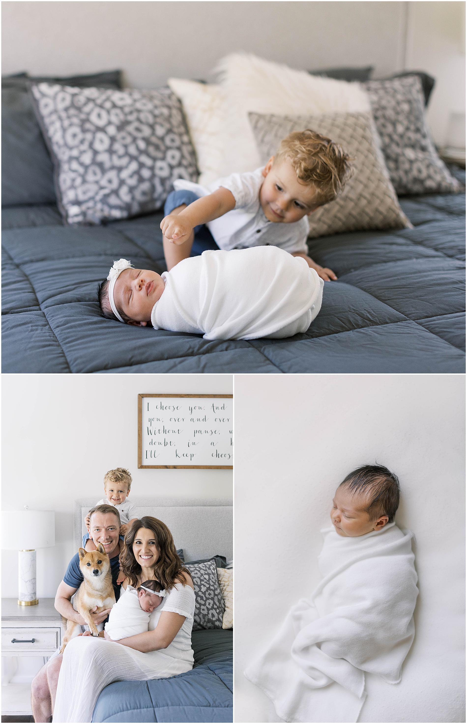 delaware county newborn photographer