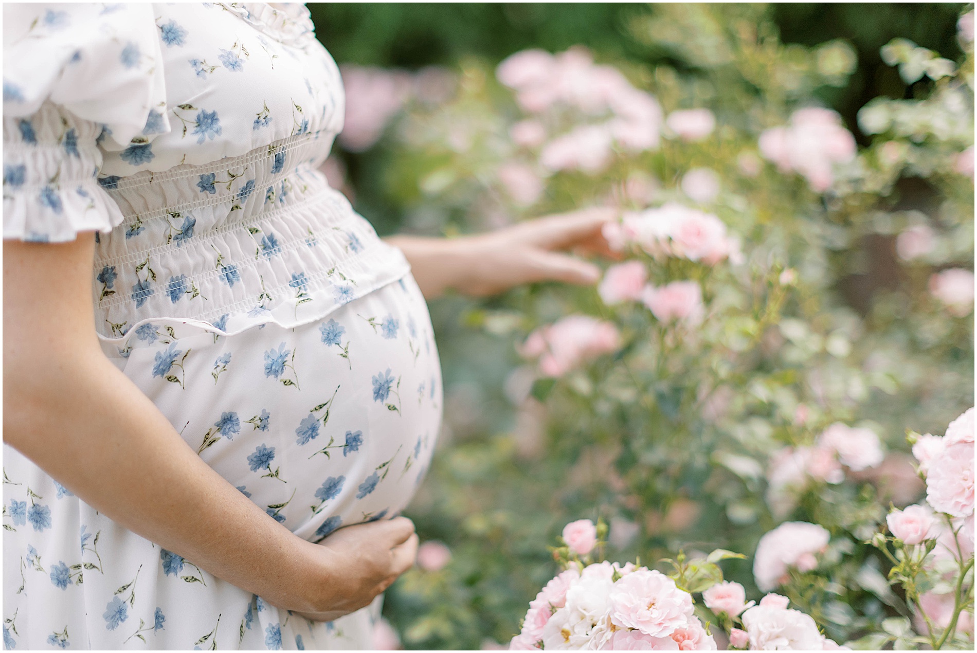 maternity session photographer philadelphia