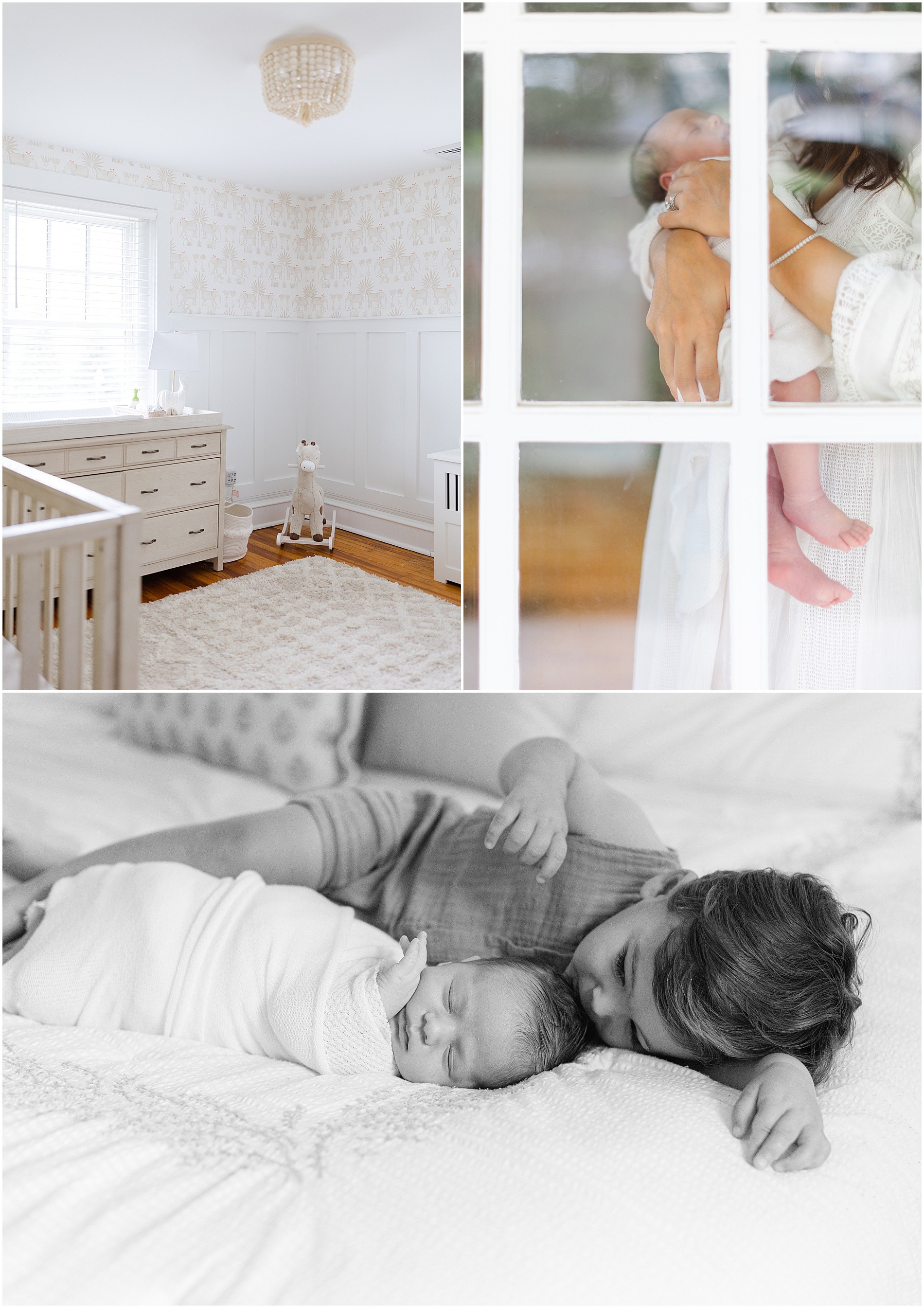 gladwyne newborn photographer