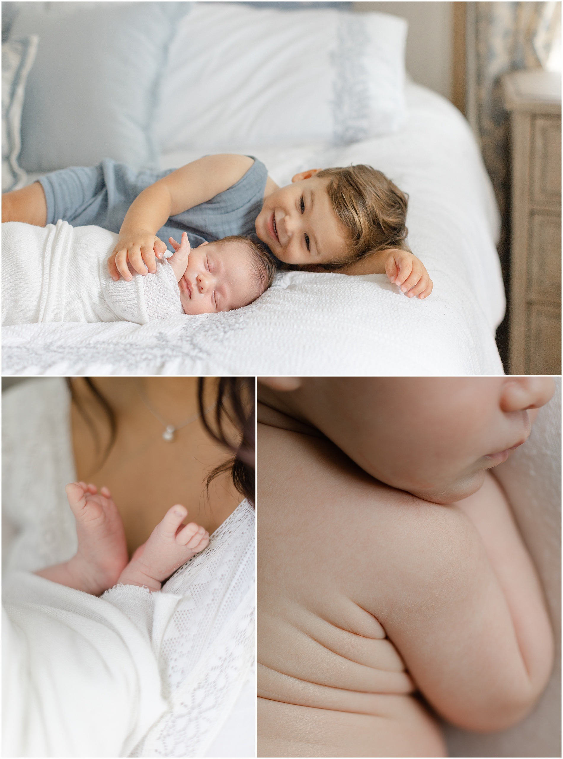 media newborn photographer