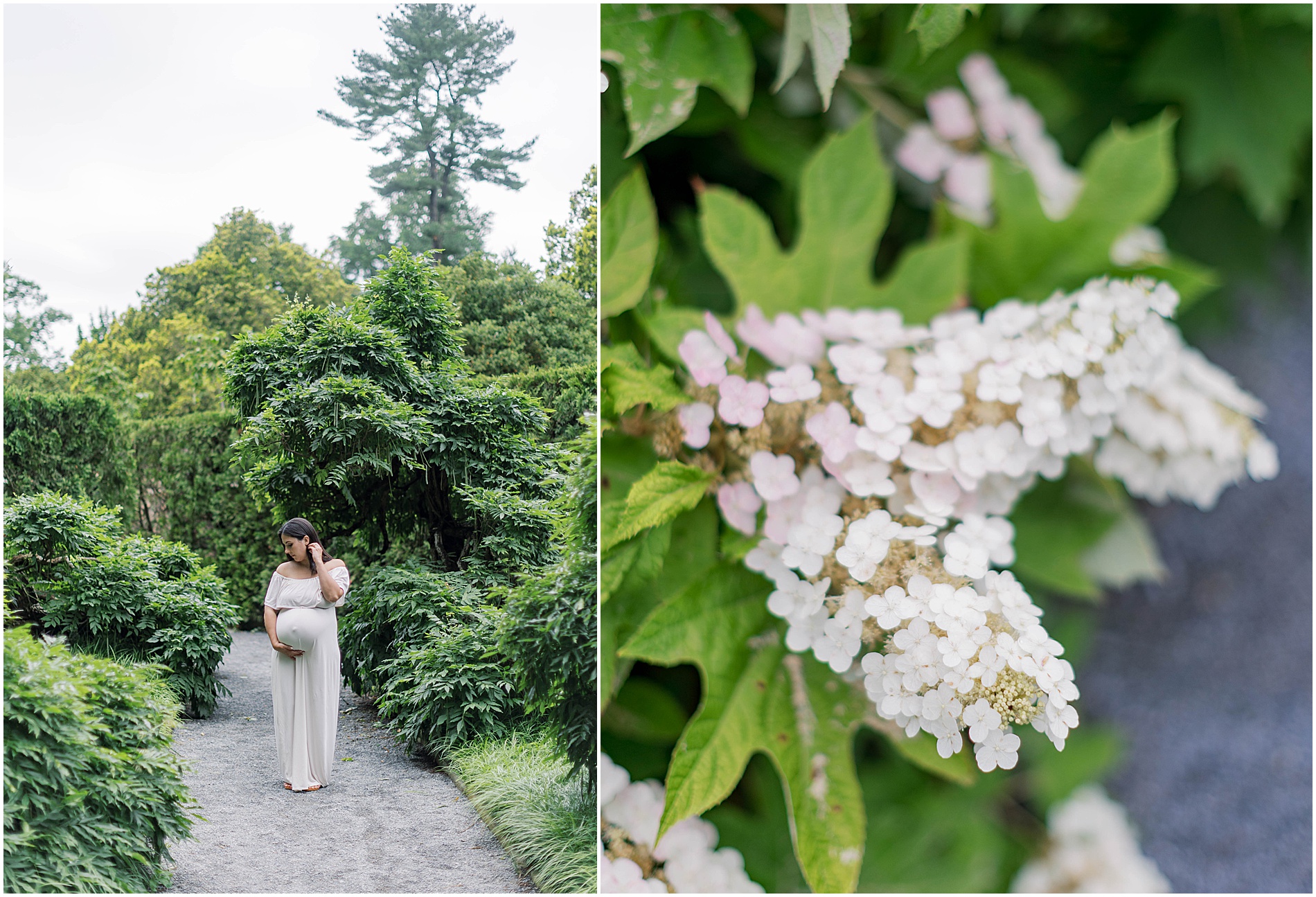 longwood family photographer