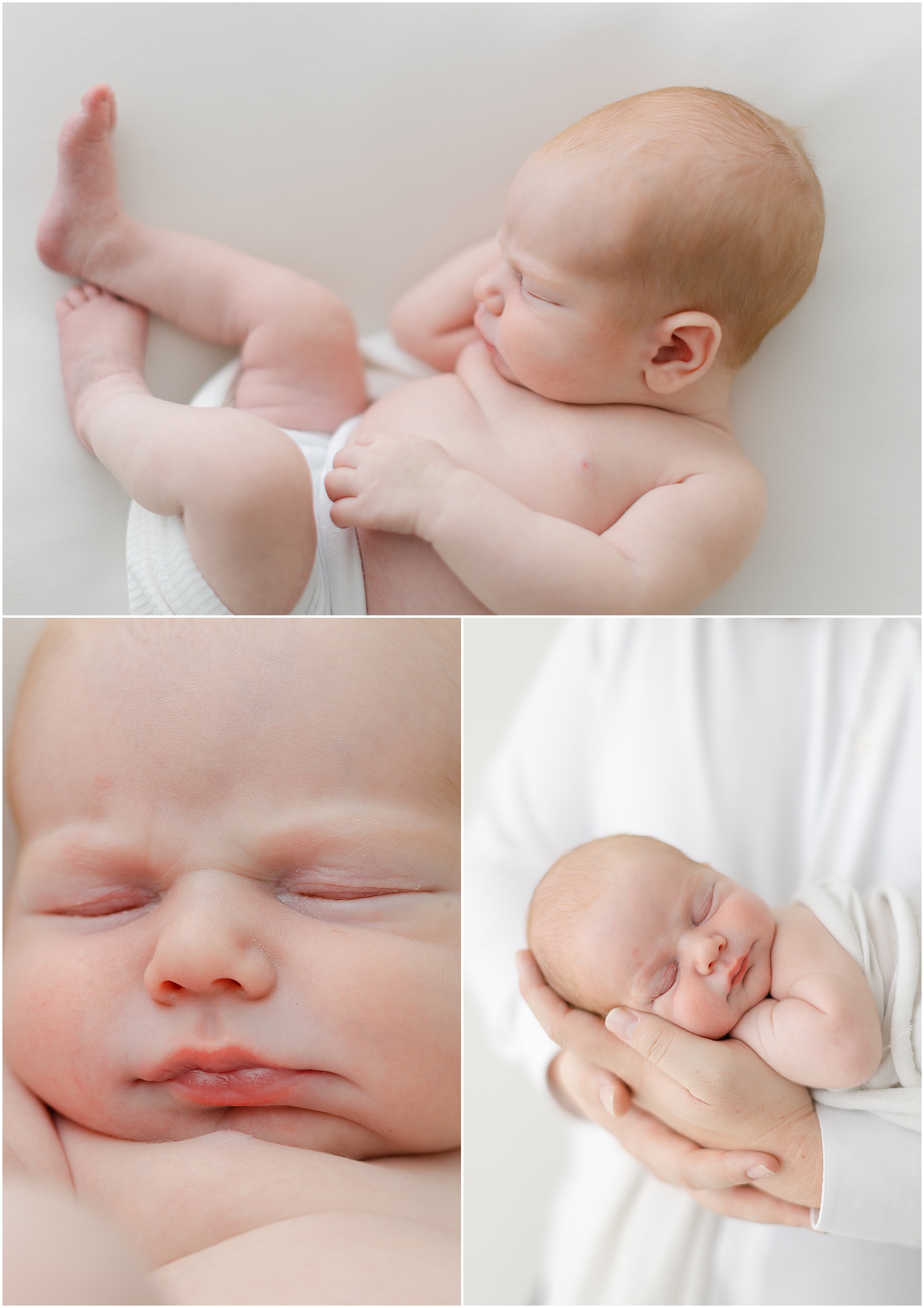 mainline baby photographer 1