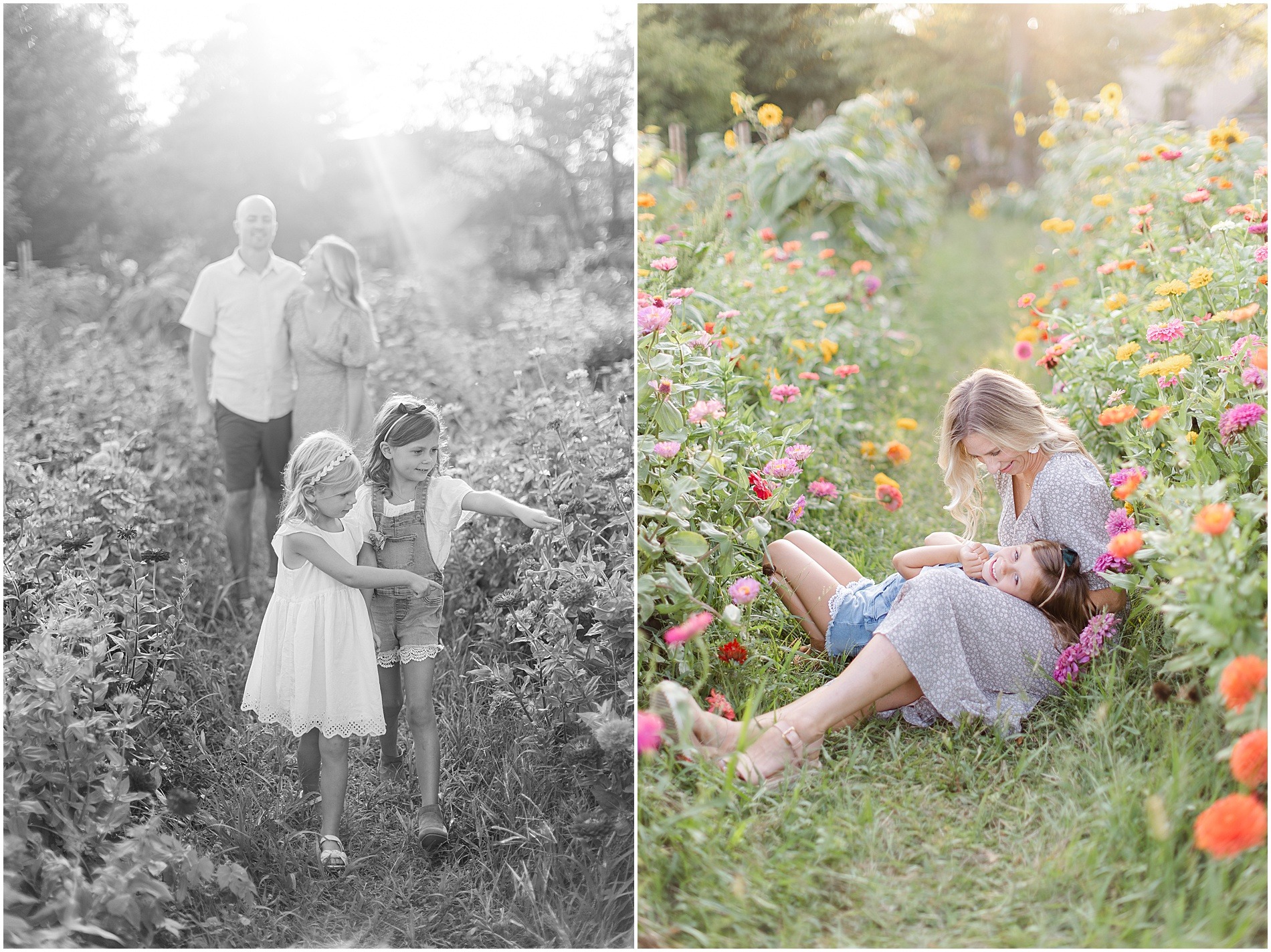 mainline family photographer