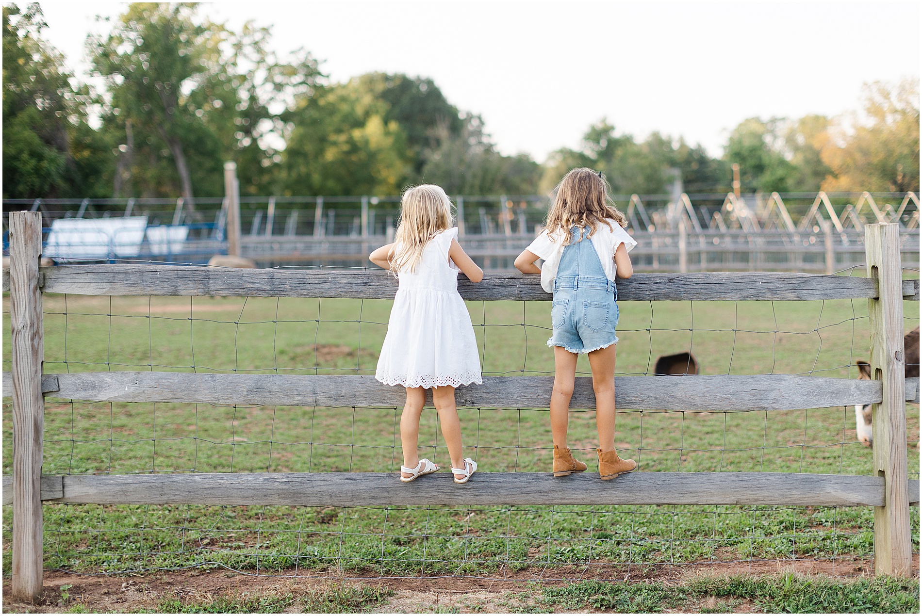 philadelphia family photographer 1