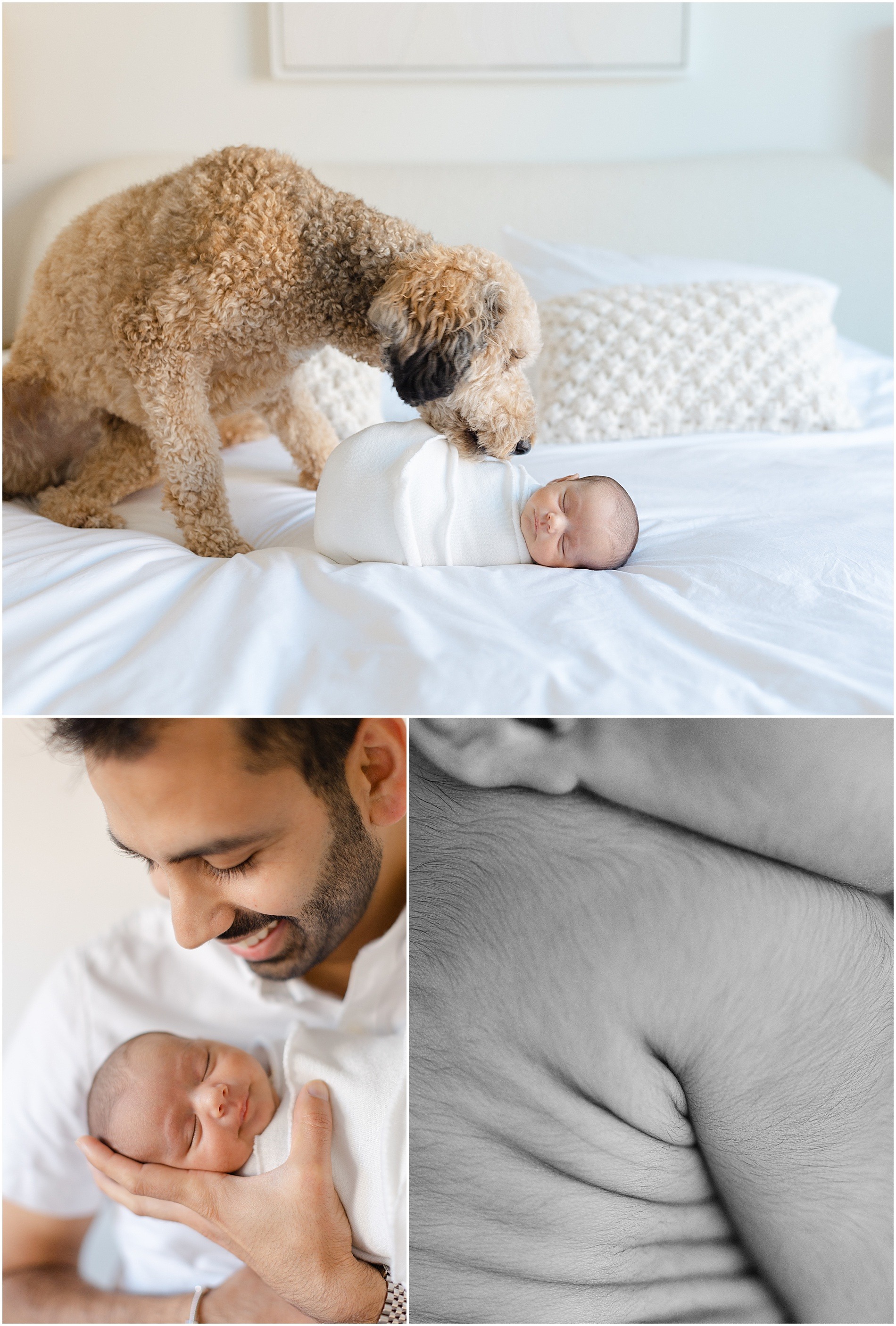 center city philadelphia newborn photographer