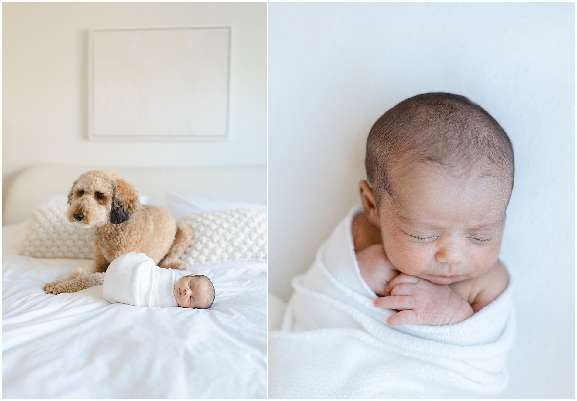 mainline newborn photography