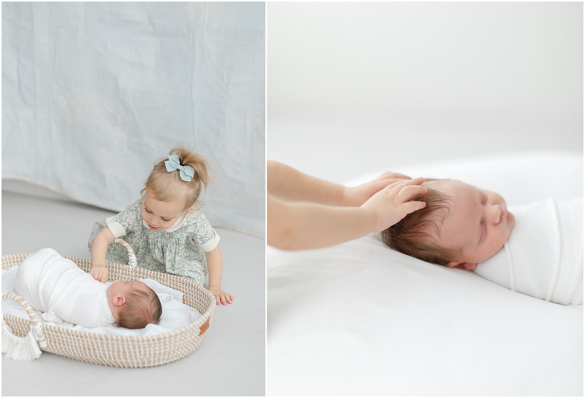 media pa newborn photographer