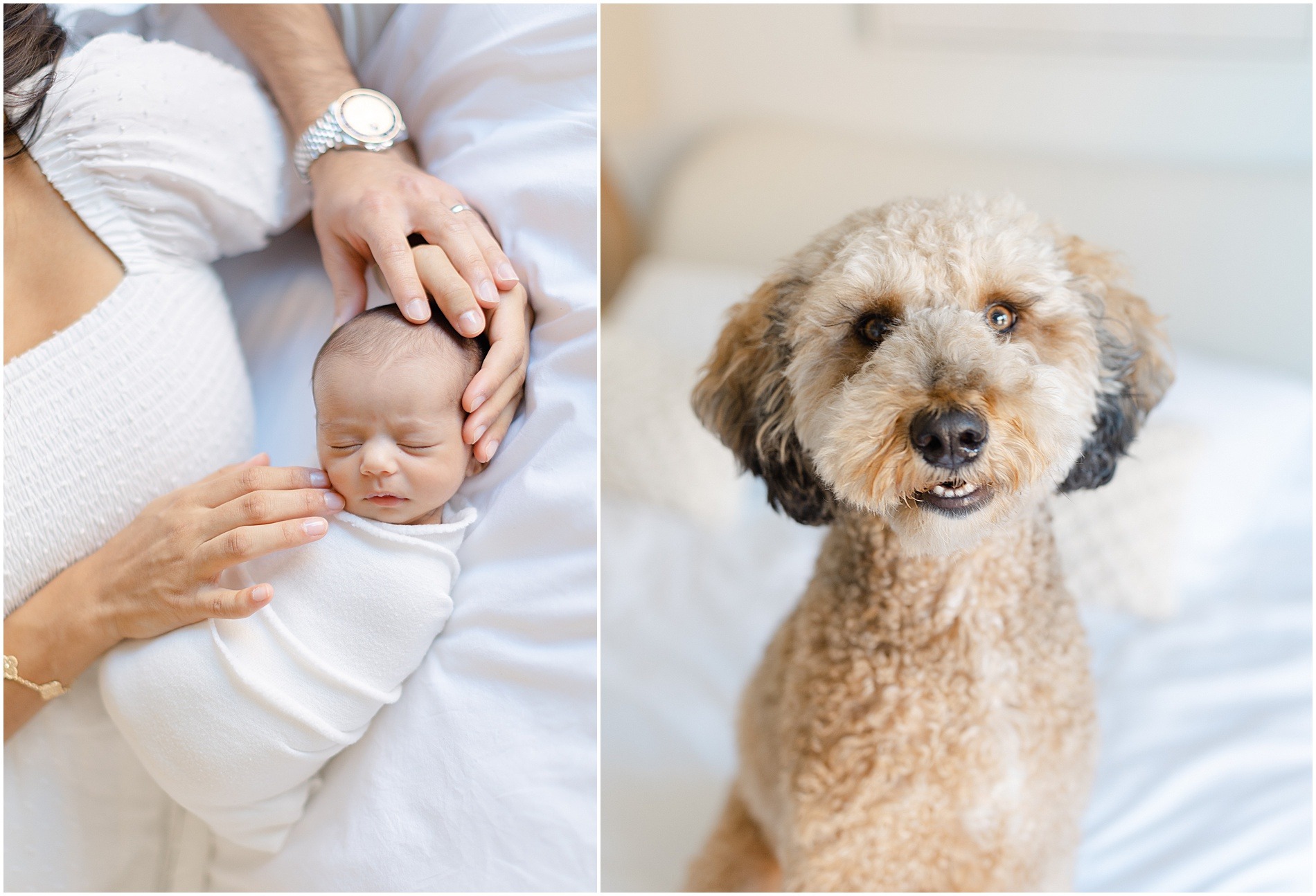 newborn photographer philly 1