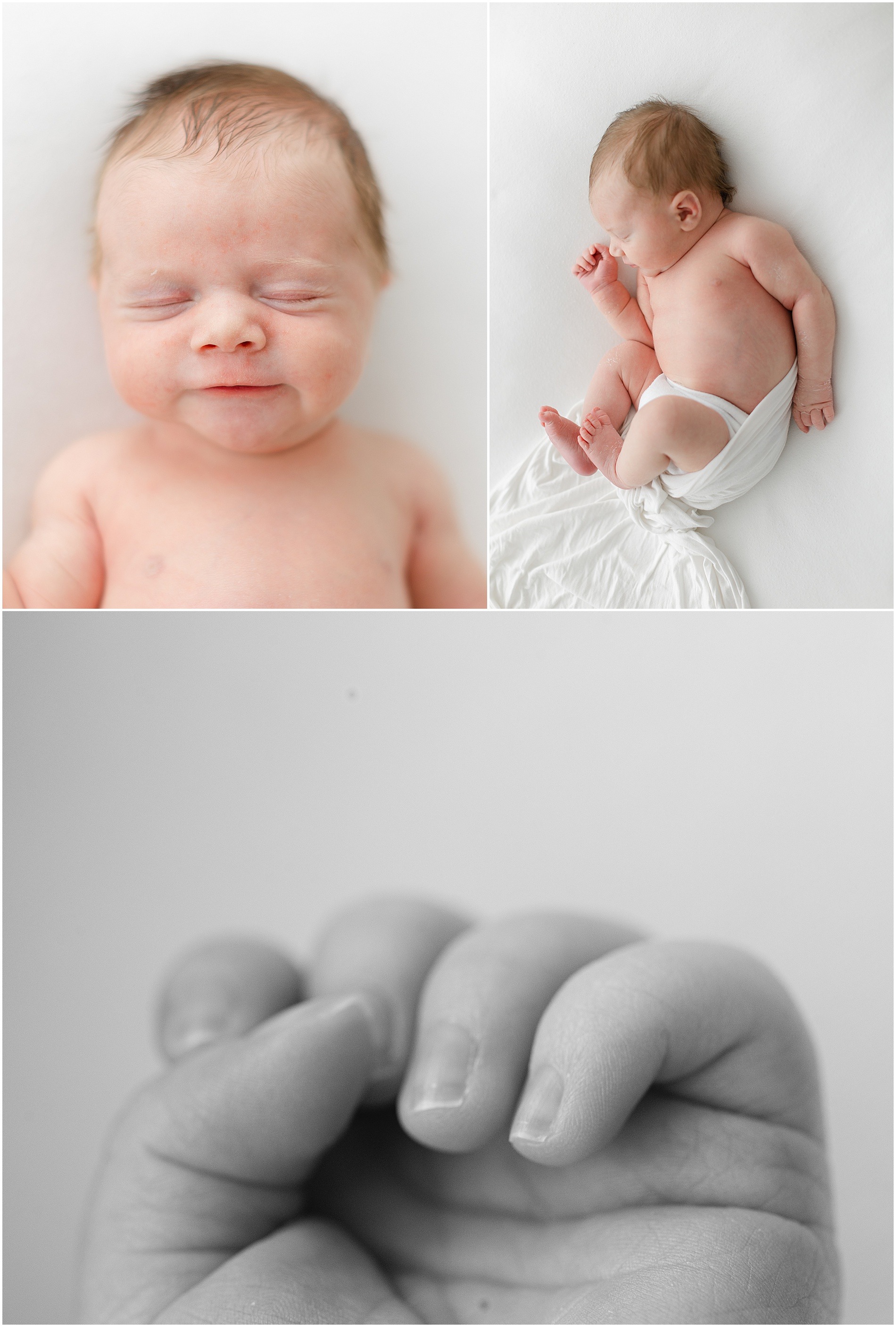 newborn photographer philly