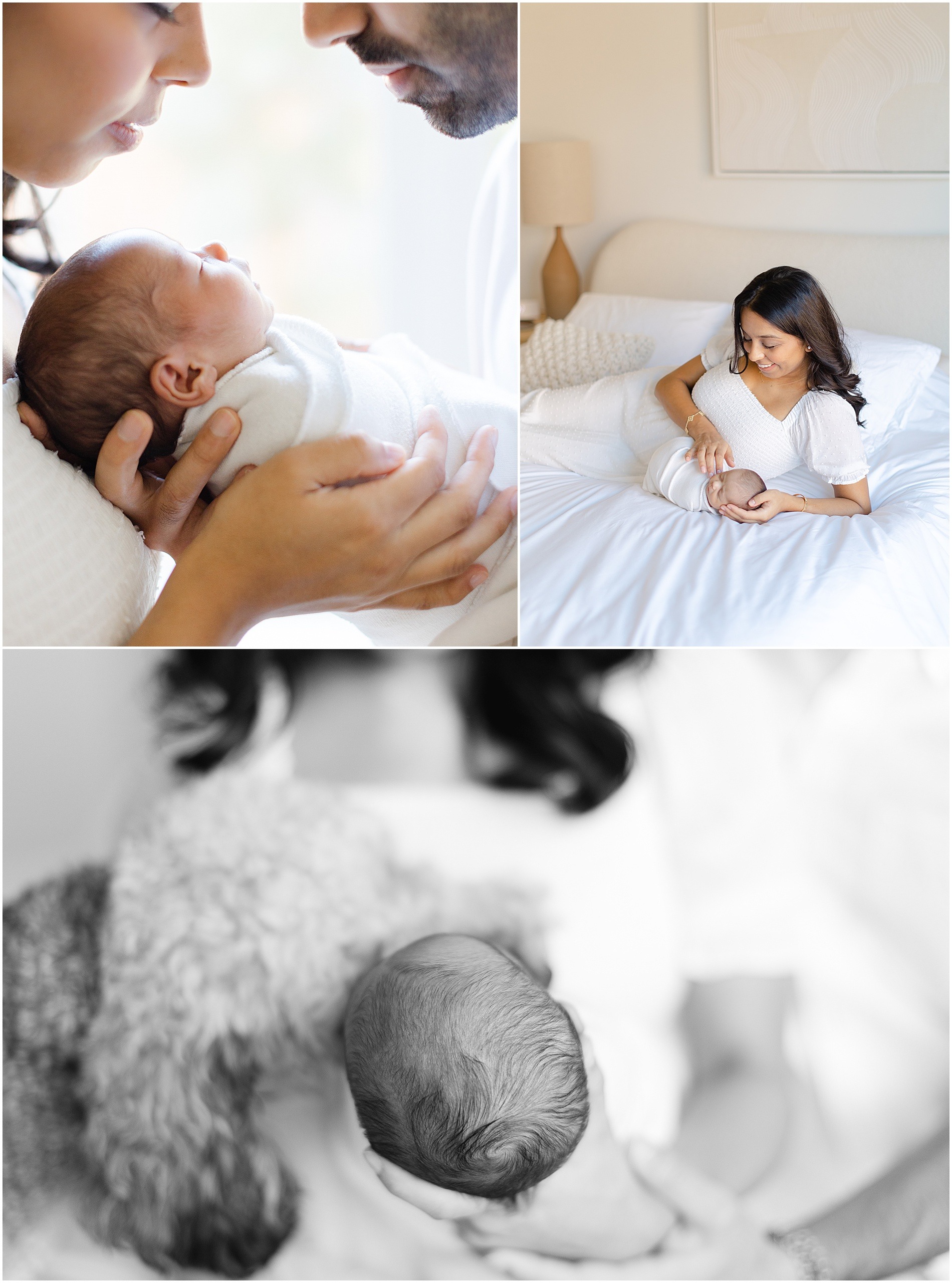 philadelphia newborn photography 1