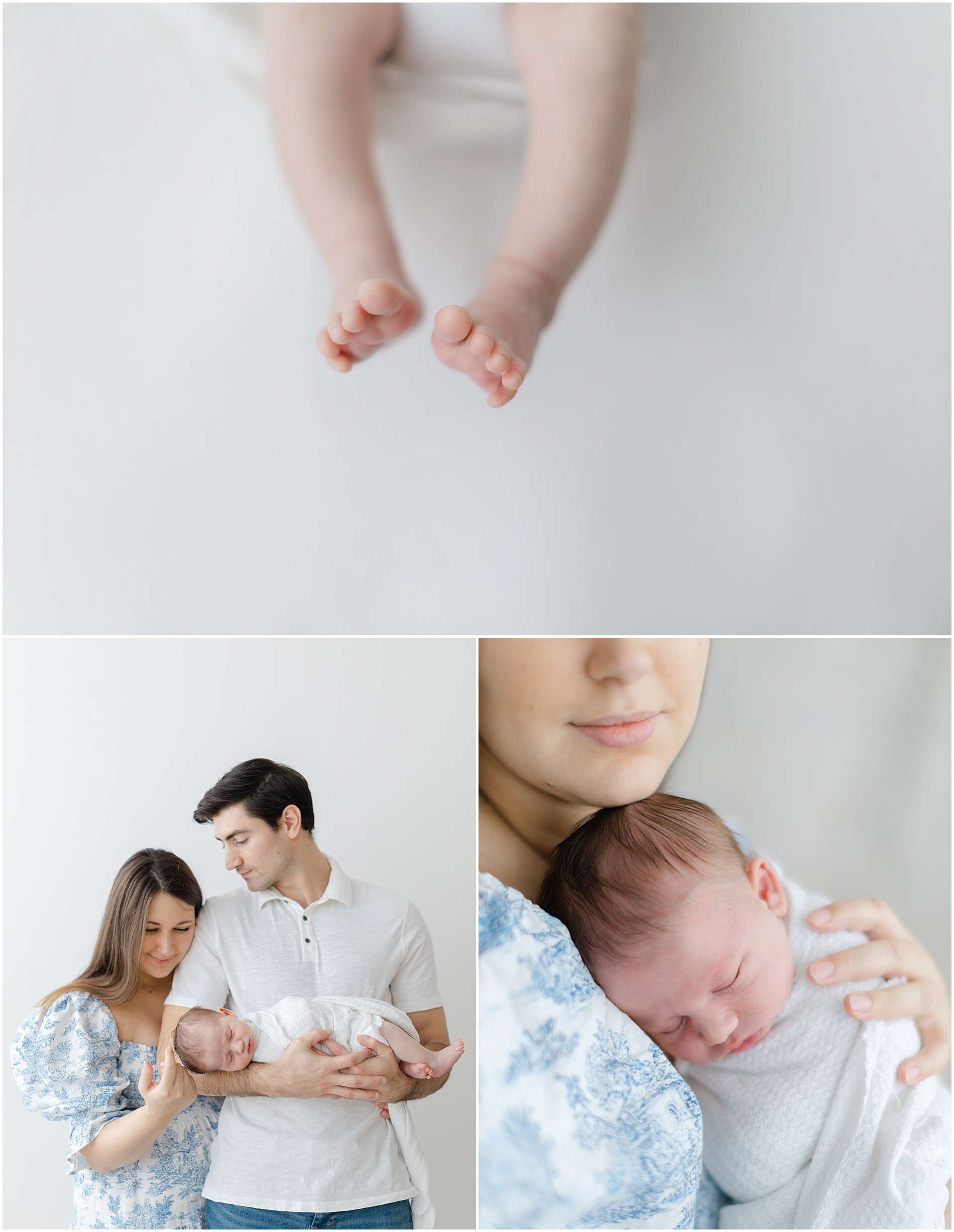 main line newborn photographer