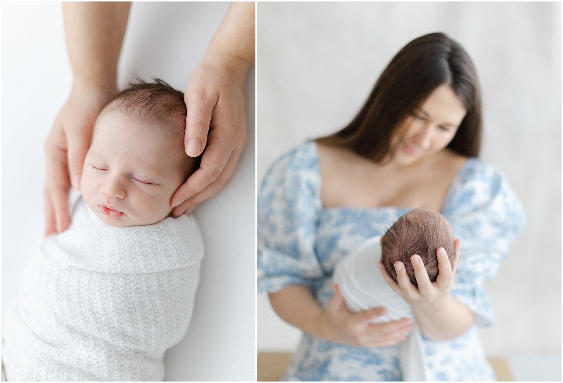 main line newborn photography