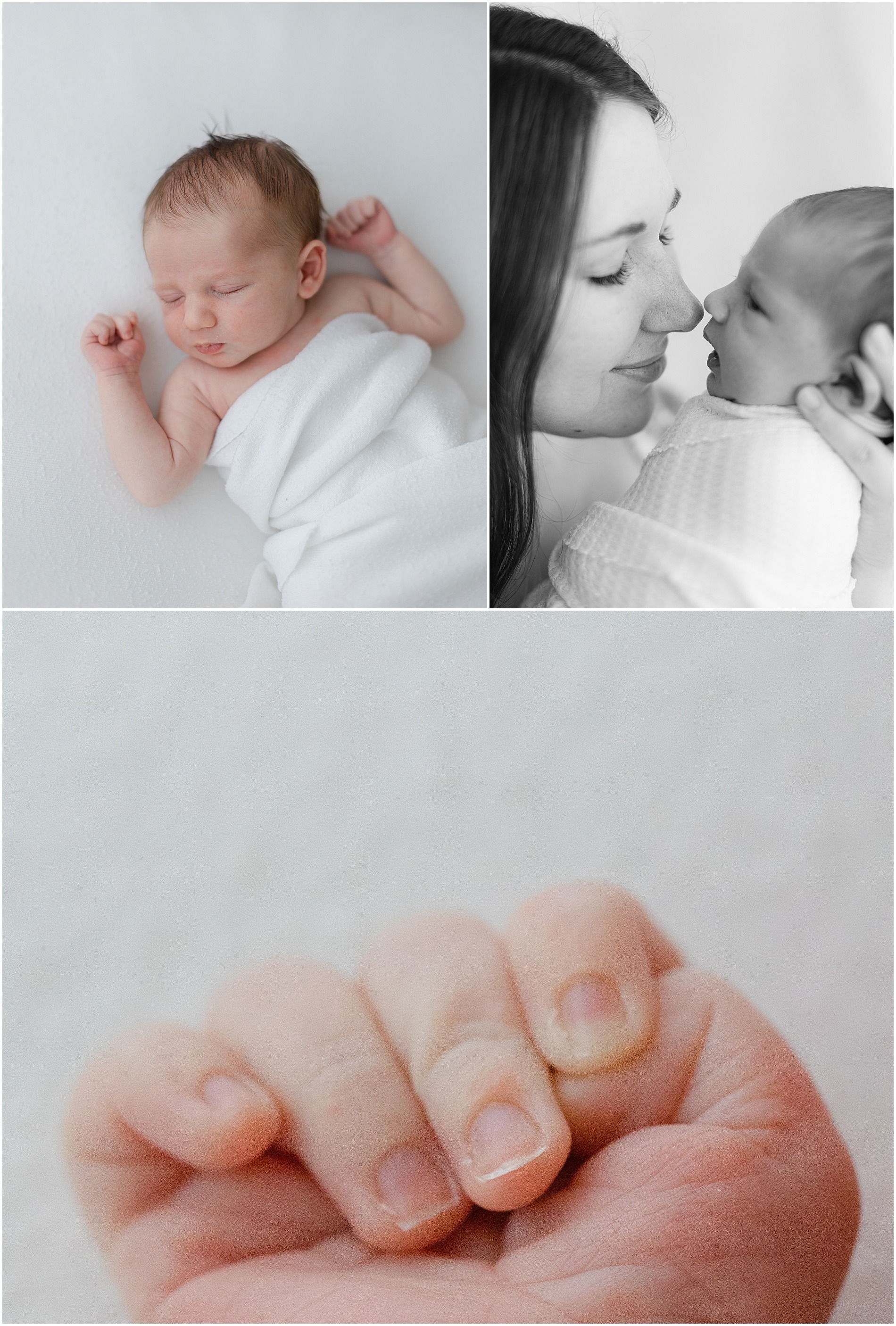 newborn photography mainline