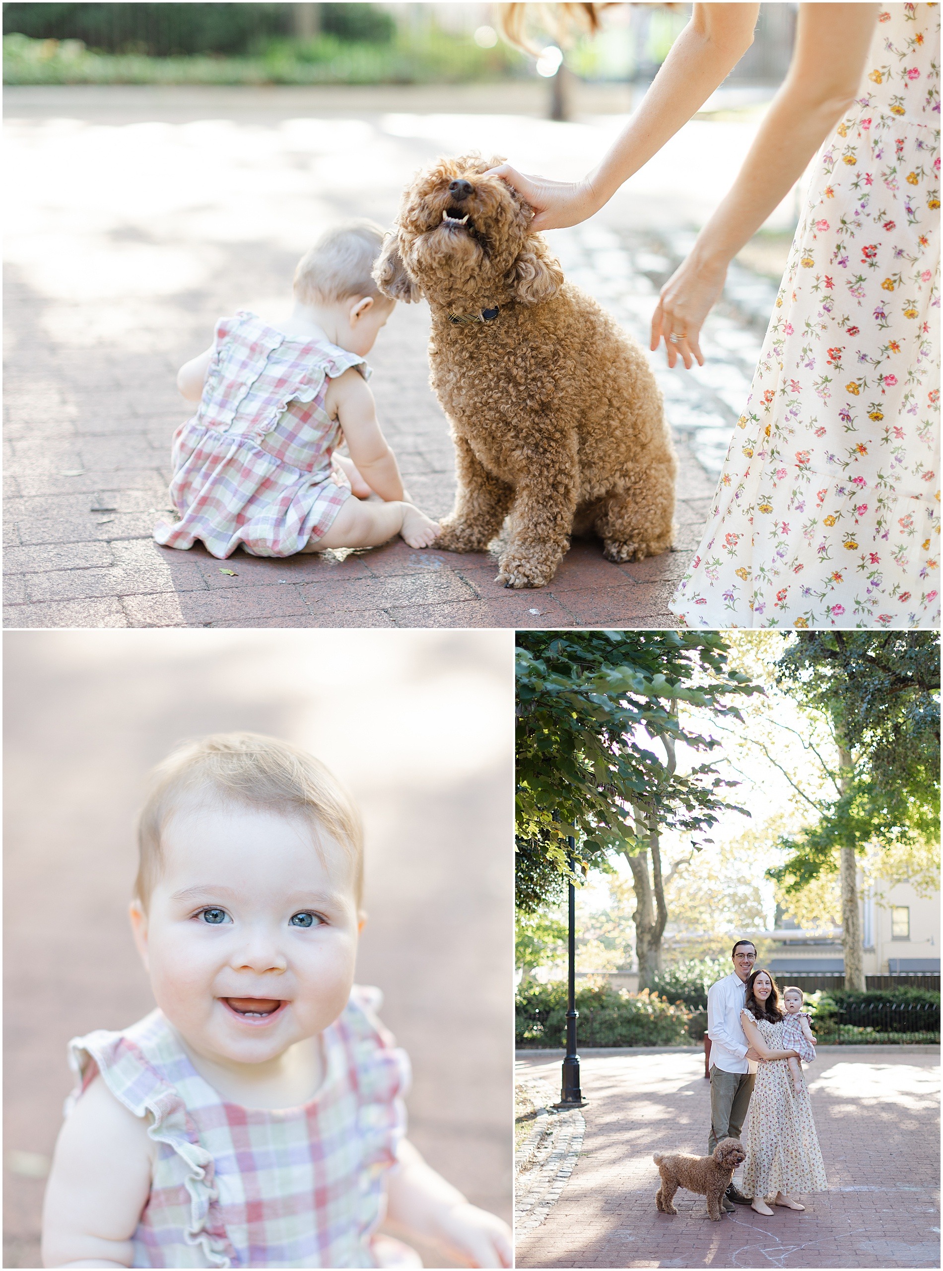 family photographer philadelphia