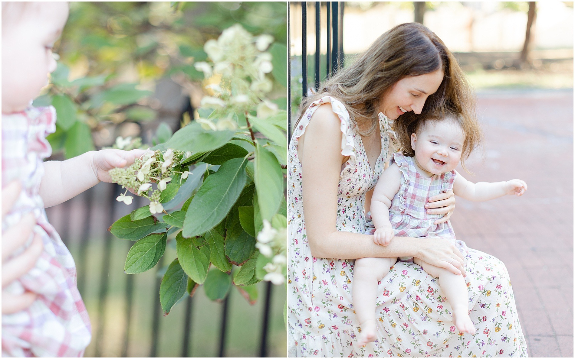 family photographer philly