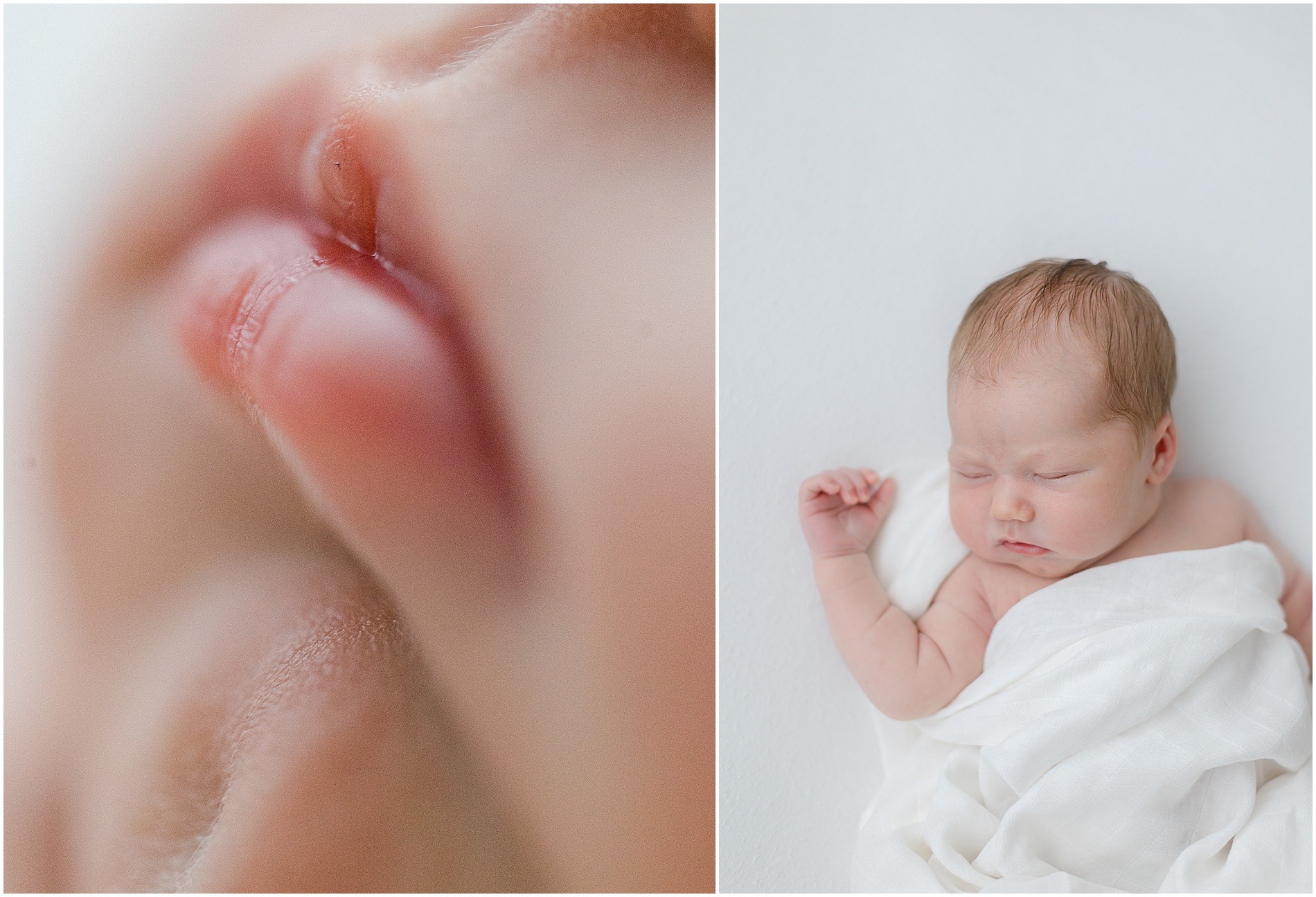 newborn photographer main line 1