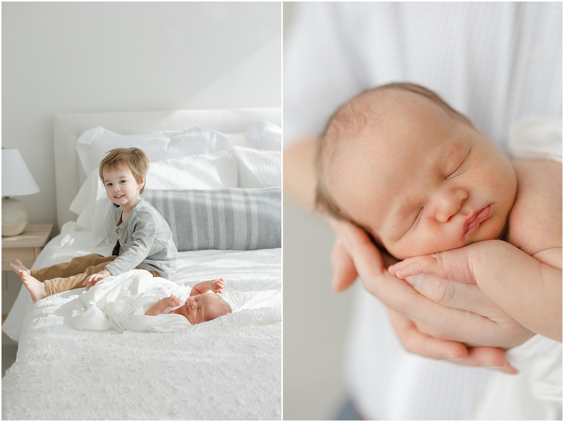 newborn photography mainline