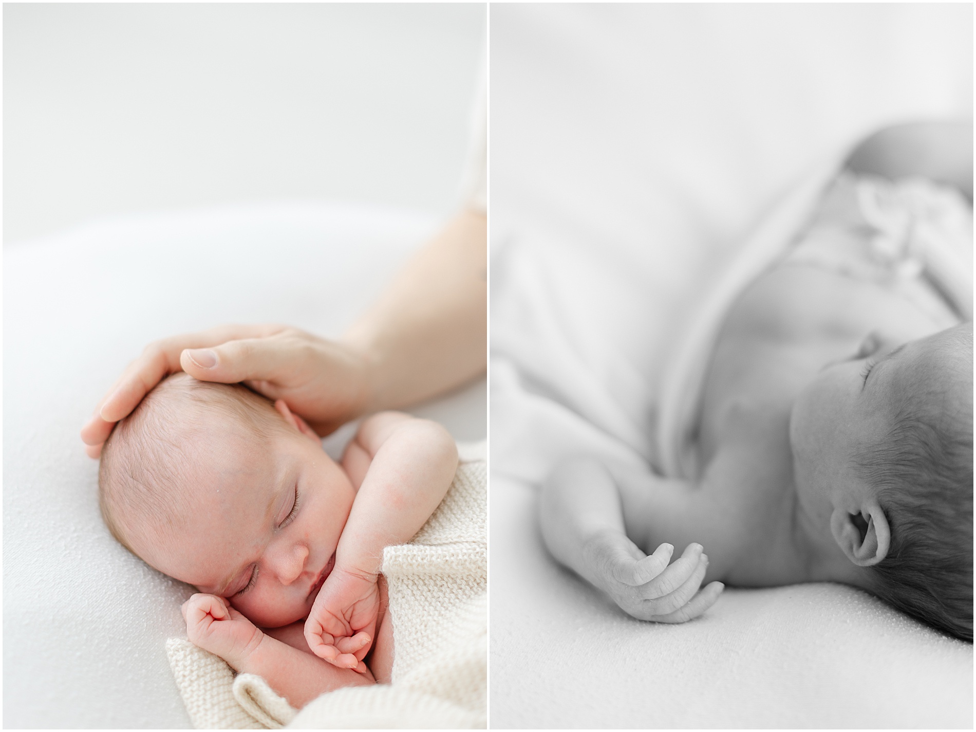 philadelphia newborn photographer