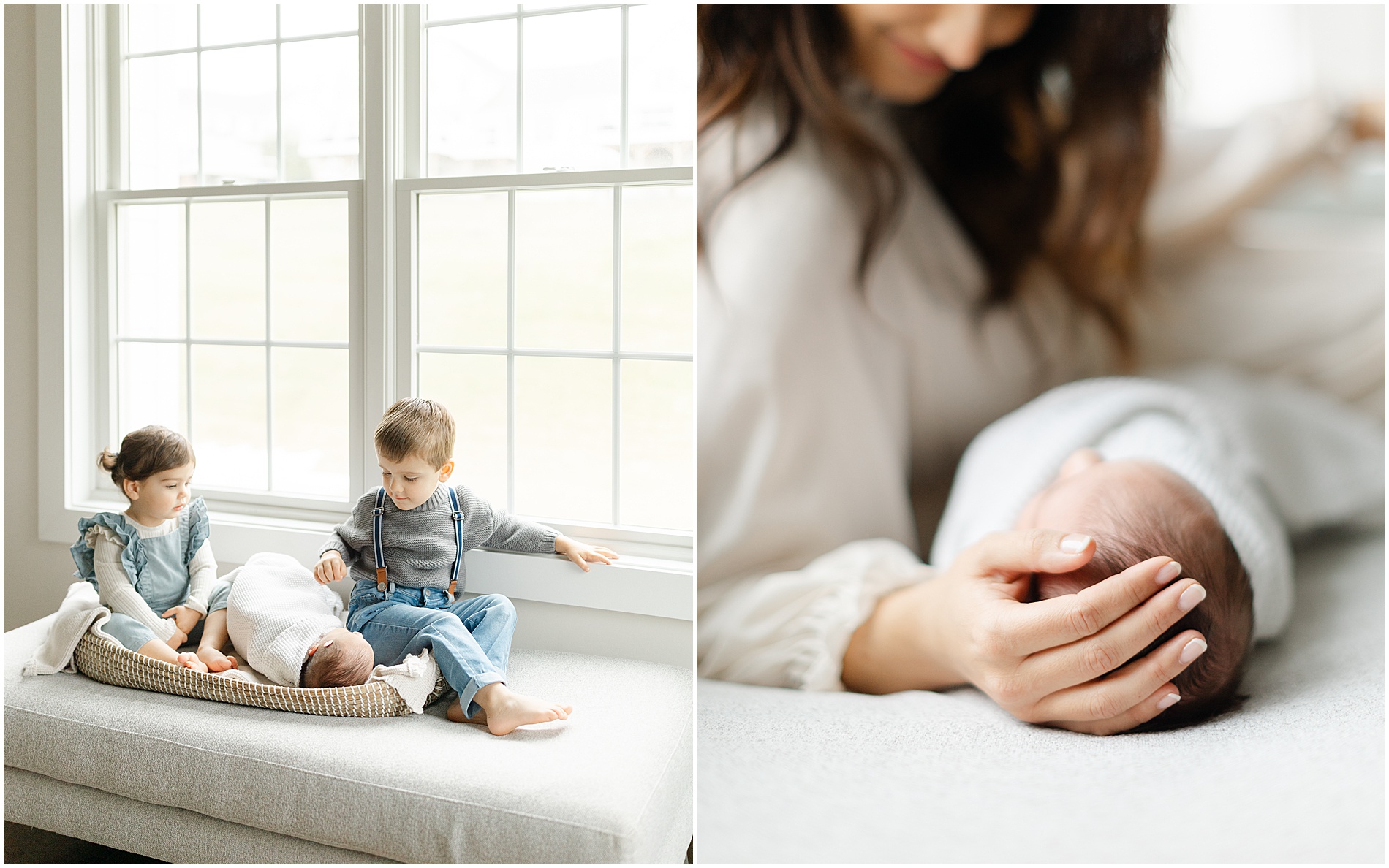 mainline newborn photographer