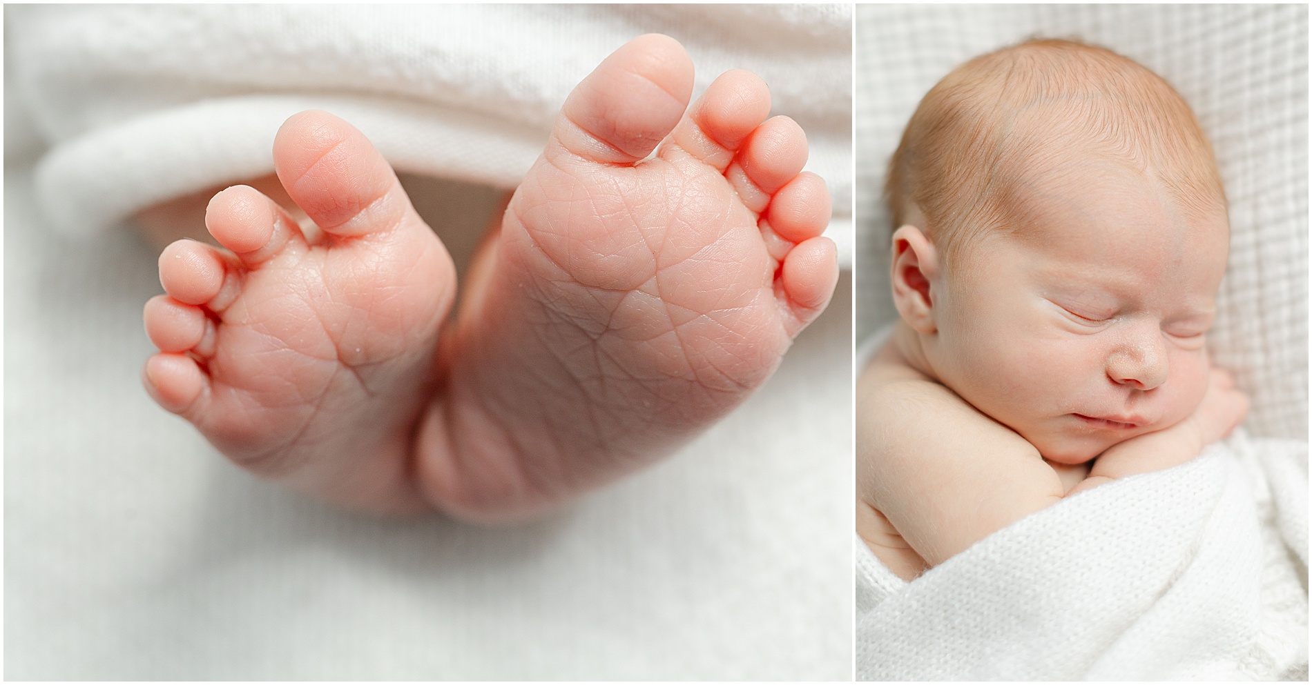 in home newborn session philly