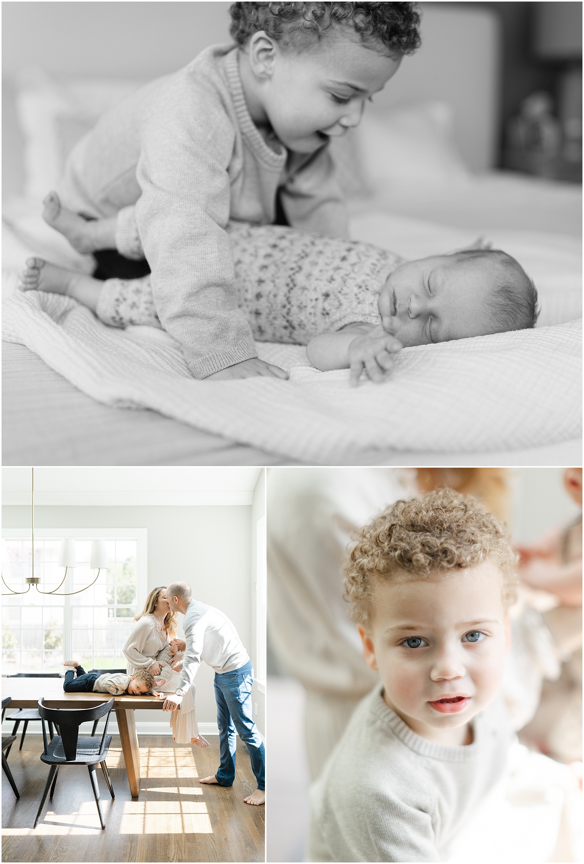 wayne newborn photographer