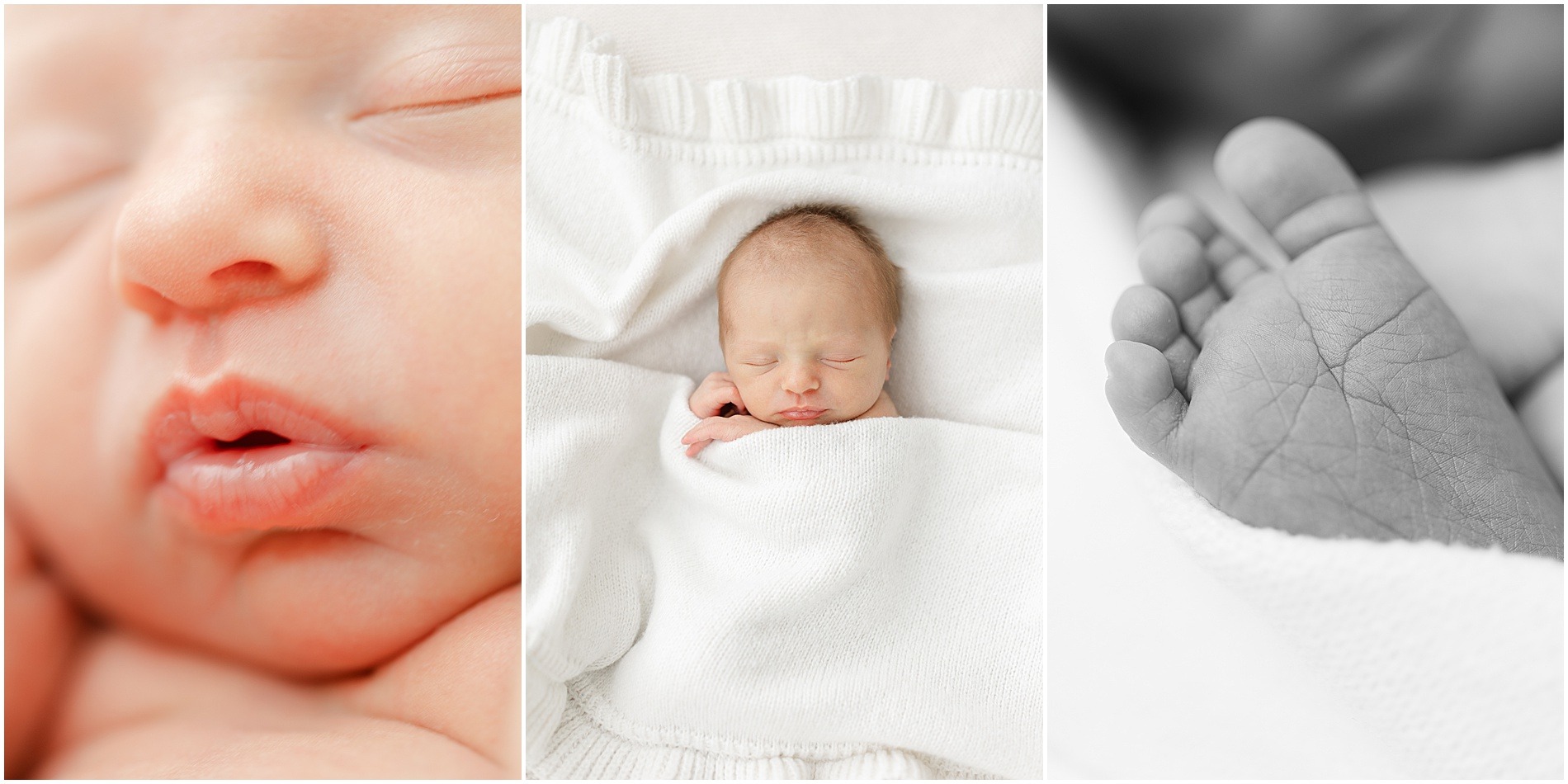 newborn photographer south jersey