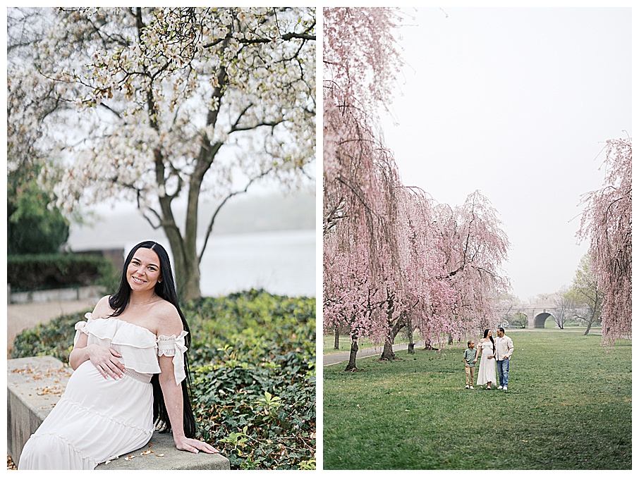 cherry blossom photos philadelphia best spots for spring photos near philadelphia