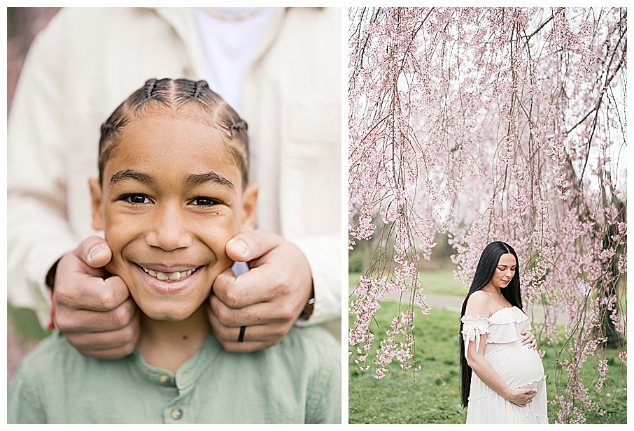 cherry blossoms philly best spots for spring photos near philadelphia