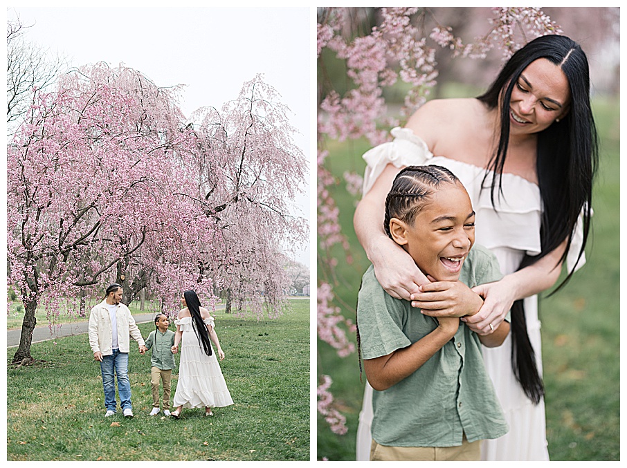 philly cherry blossom photos best spots for spring photos near philadelphia