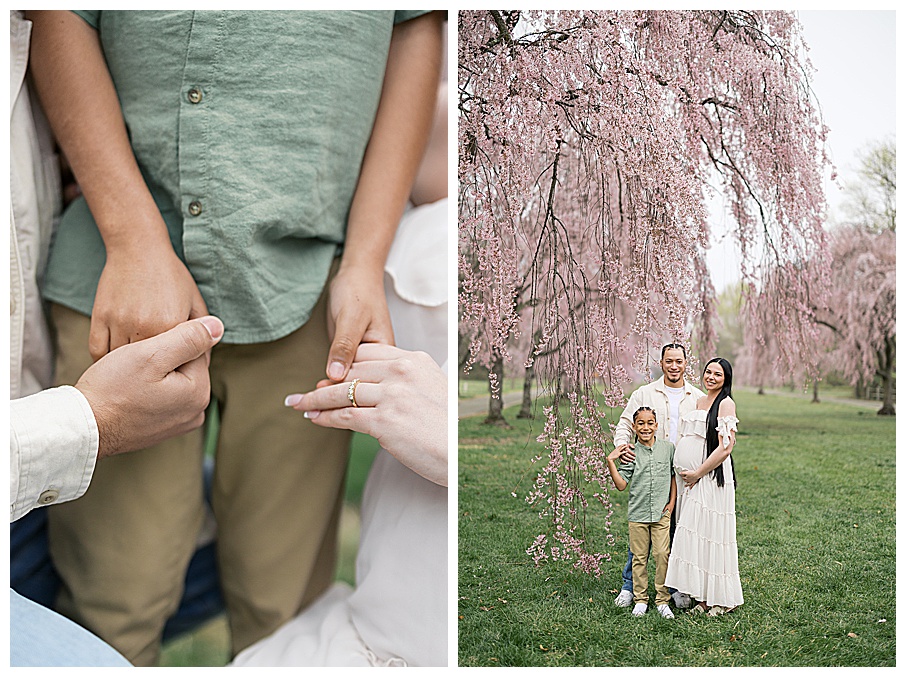 spring photo locations philly best spots for spring photos near philadelphia