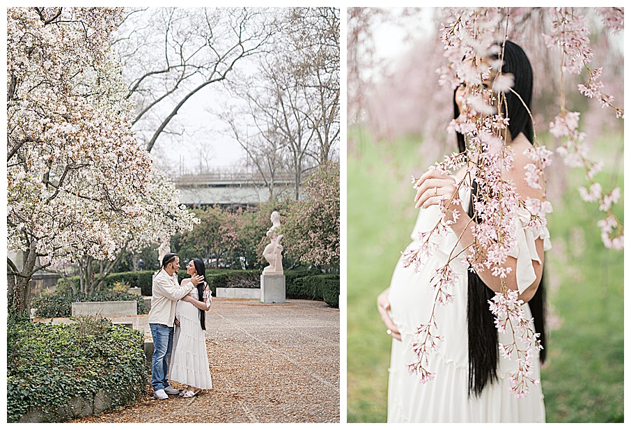 spring photo spots in philadelphia best spots for spring photos near philadelphia